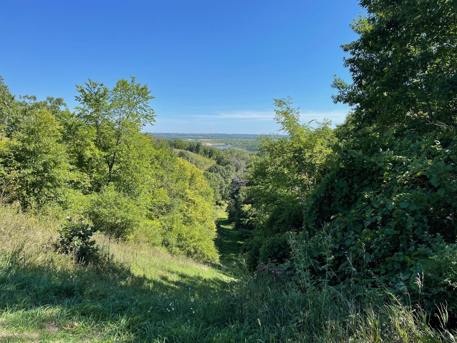 Sunny view of a lush green valley with dense trees and clear sky.
