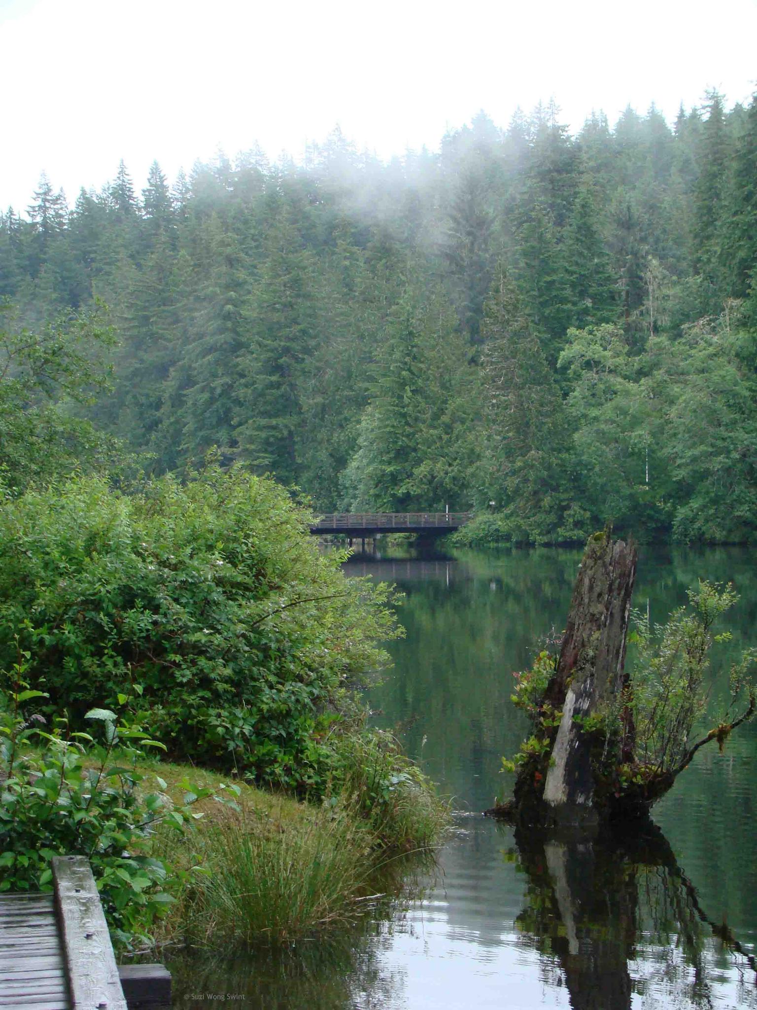 Misty forest surrounds a dark lake with a distant bridge and tree stump.