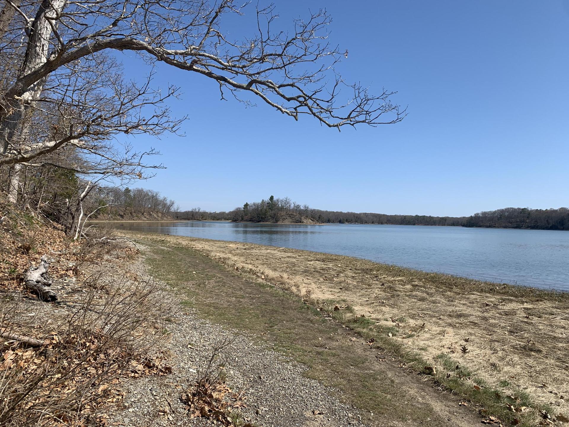 A wide river with bare trees along the bank under a clear blue sky.