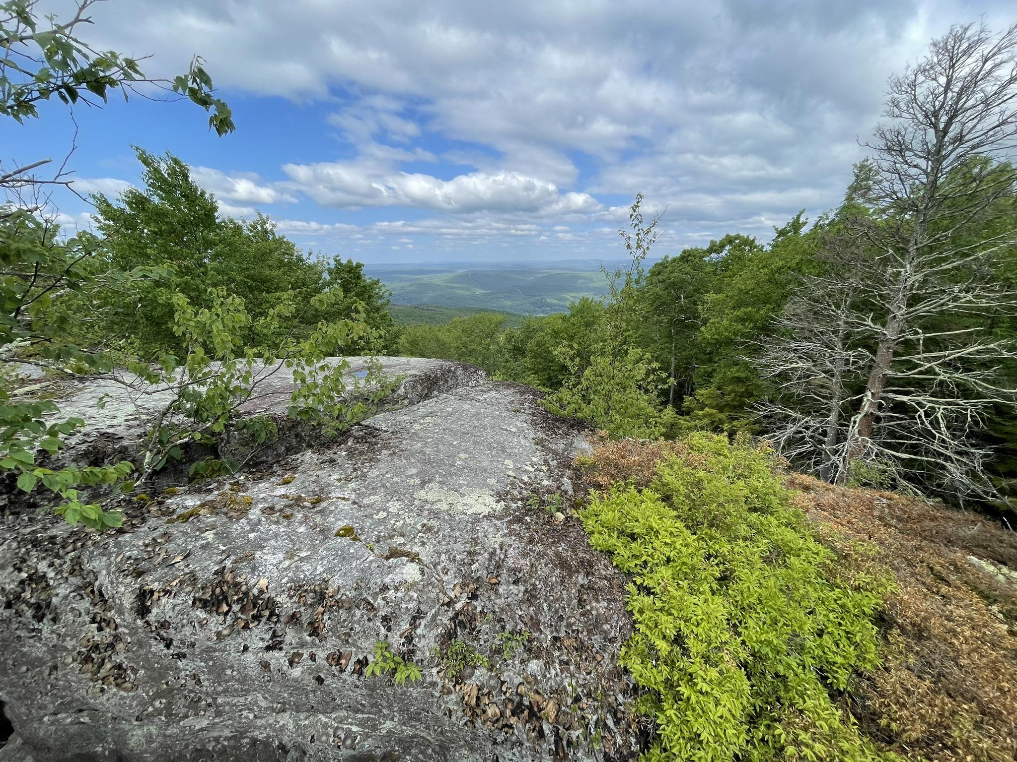 Rocky foreground with green foliage and a distant valley view under a cloudy sky.