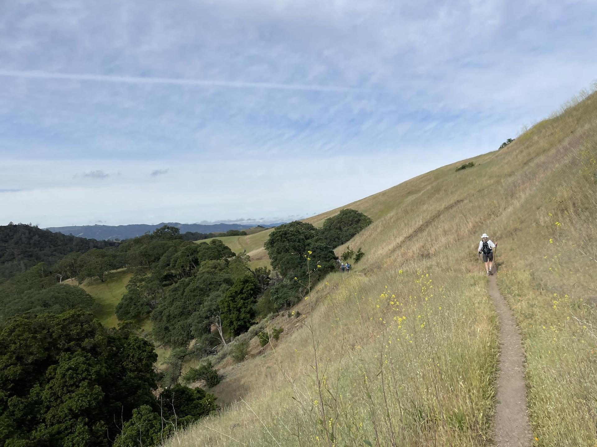 Hiker on a trail overlooking rolling hills under a cloudy sky.