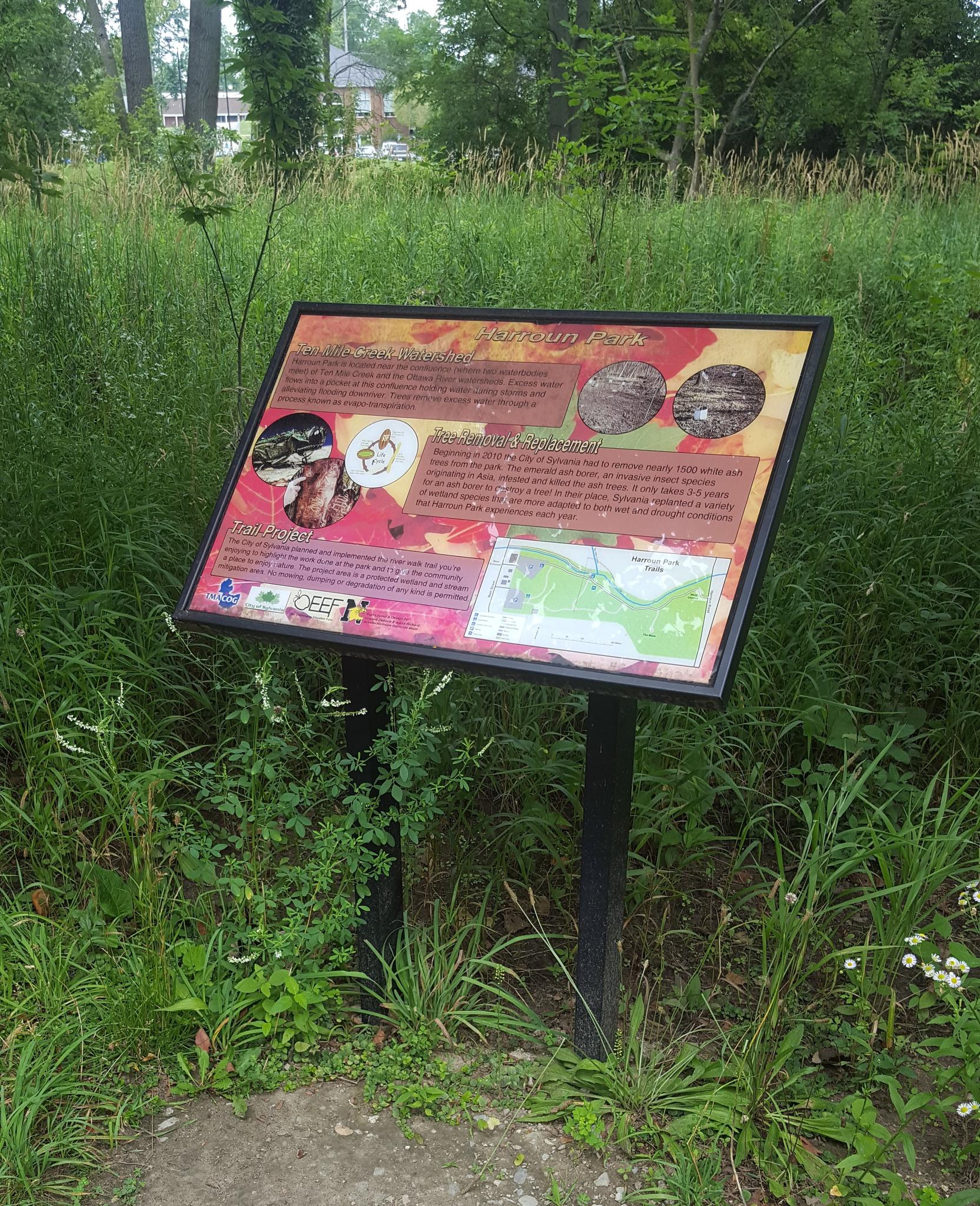 An interpretive sign stands in tall green grass and foliage on an overcast day.