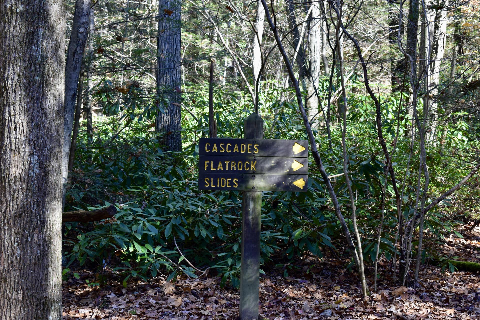 A wooden trail sign in a forest points to Cascades, Flatrock, and Slides.