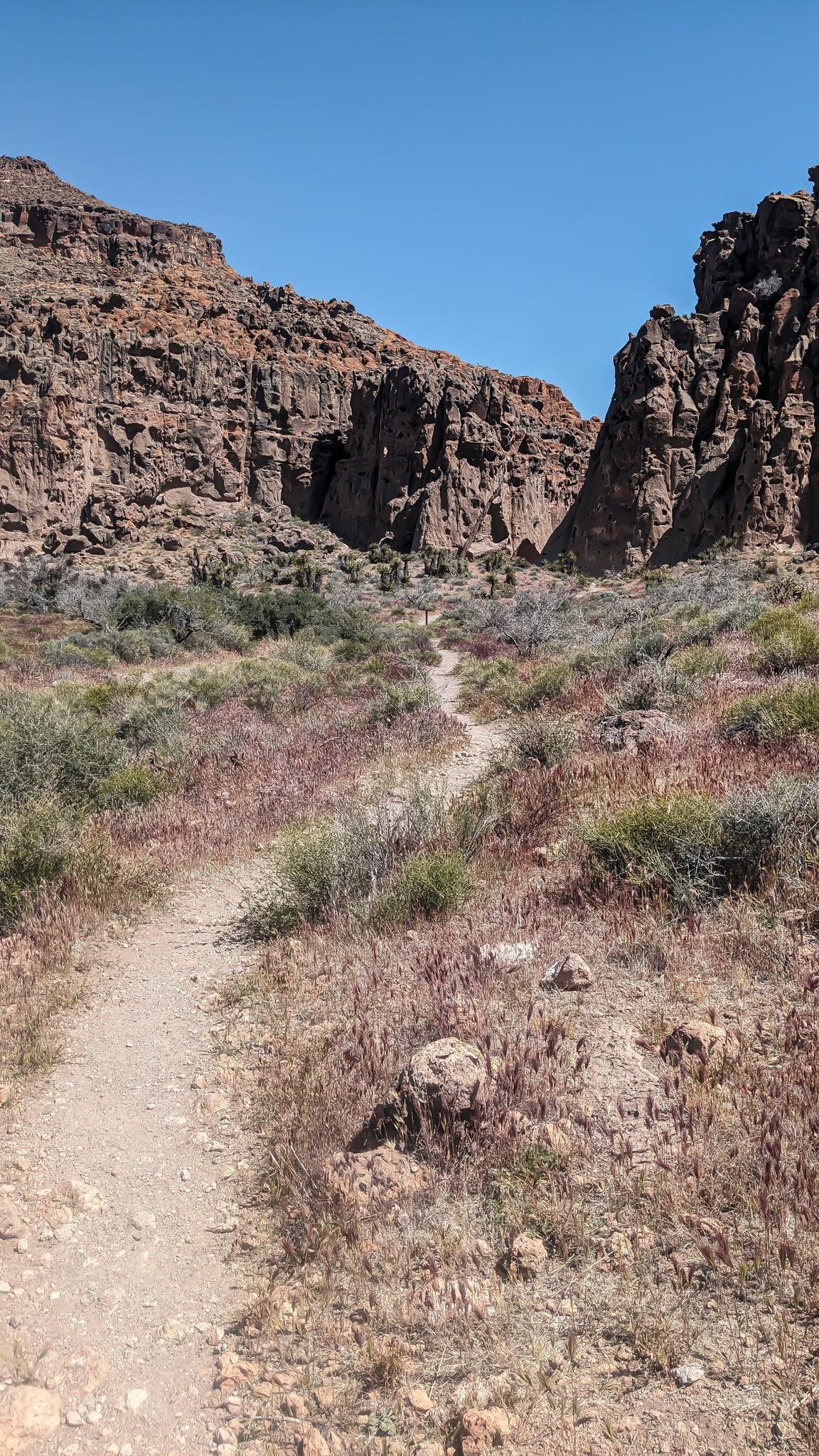 A narrow dirt trail winds through a rocky desert canyon on a sunny day.