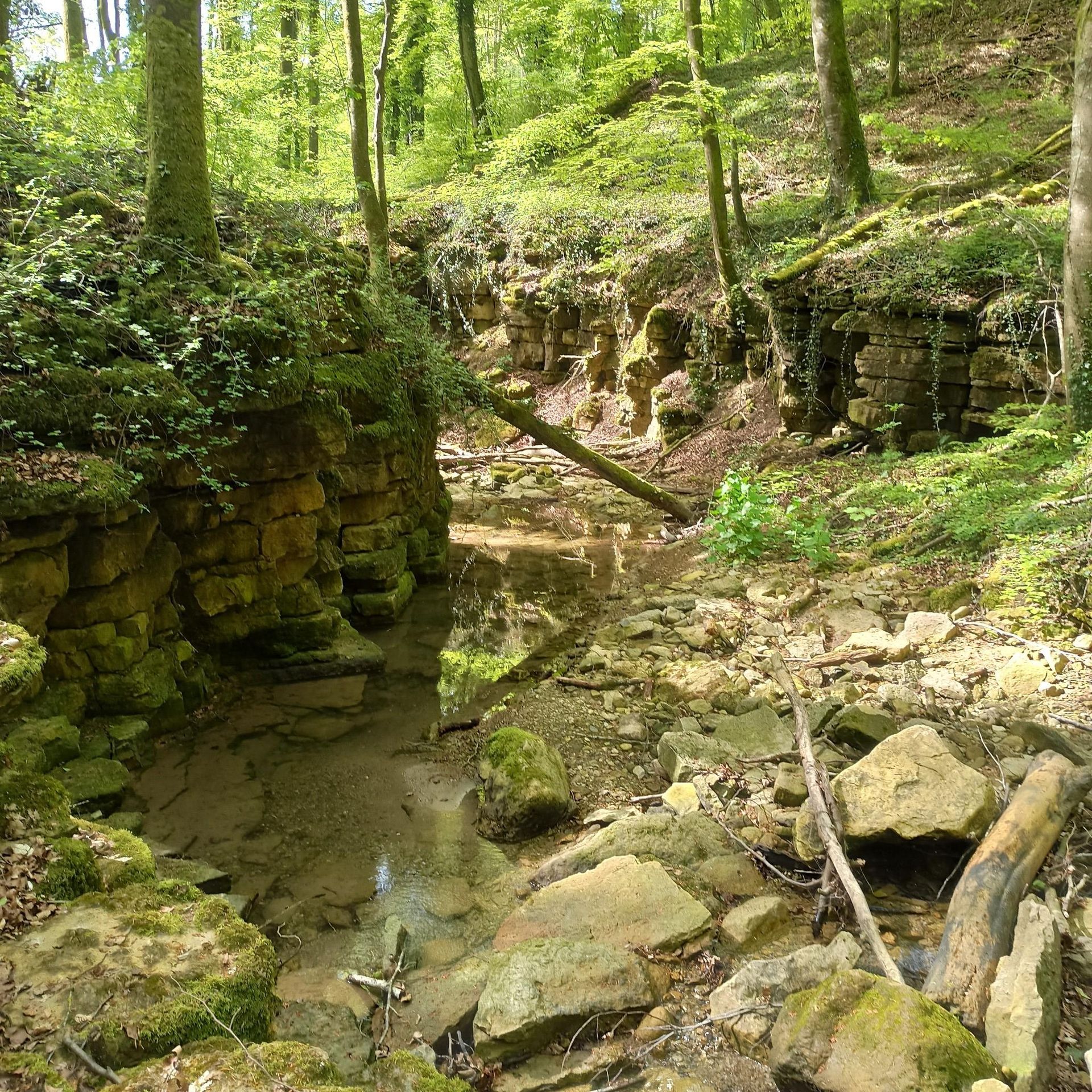 Mullerthal Trail - The most beautiful routes across Luxembourg's Little ...