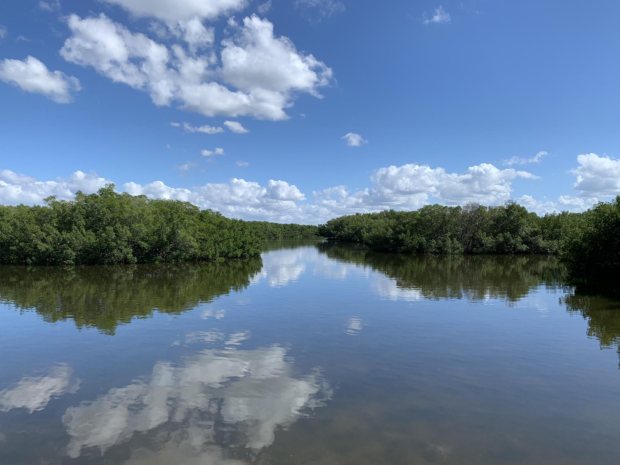 Calm river reflecting blue sky and white clouds, flanked by green trees. - Upland Trail and Bay Boardwalk Loop