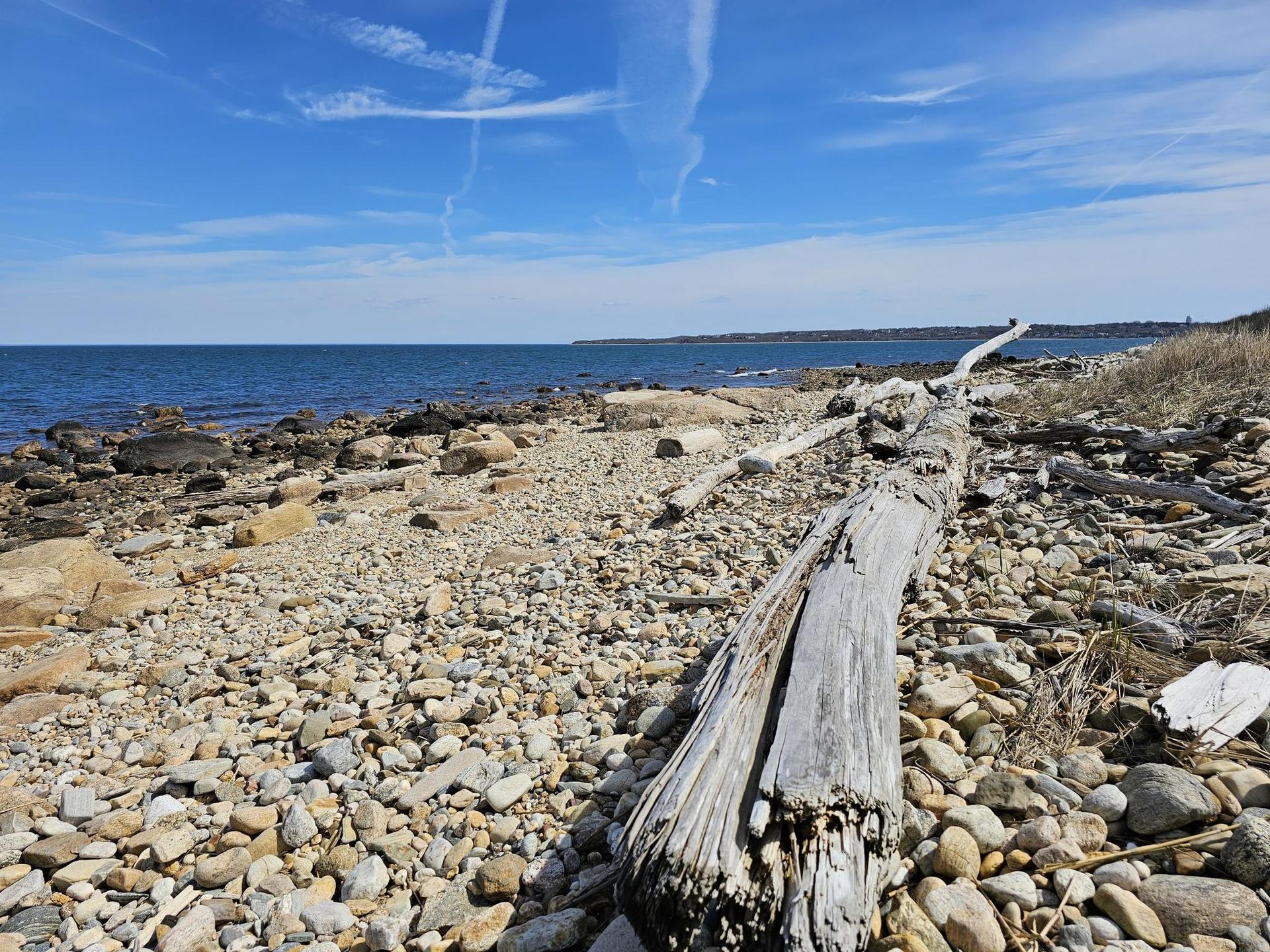 Sunny rocky beach with driftwood leading to a calm blue ocean under a clear sky.