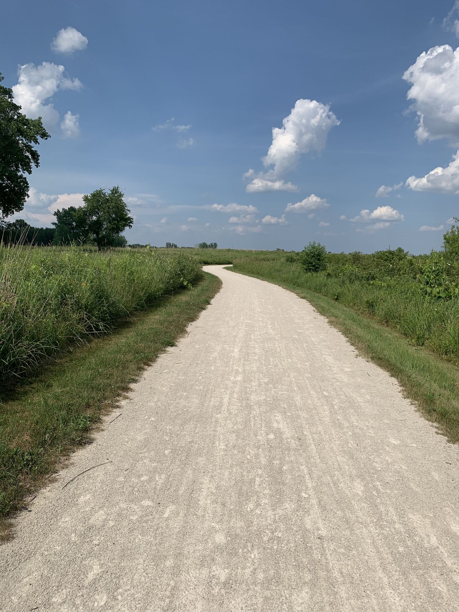 A winding gravel path through a sunny green field under a blue sky. - Bluestem Trail