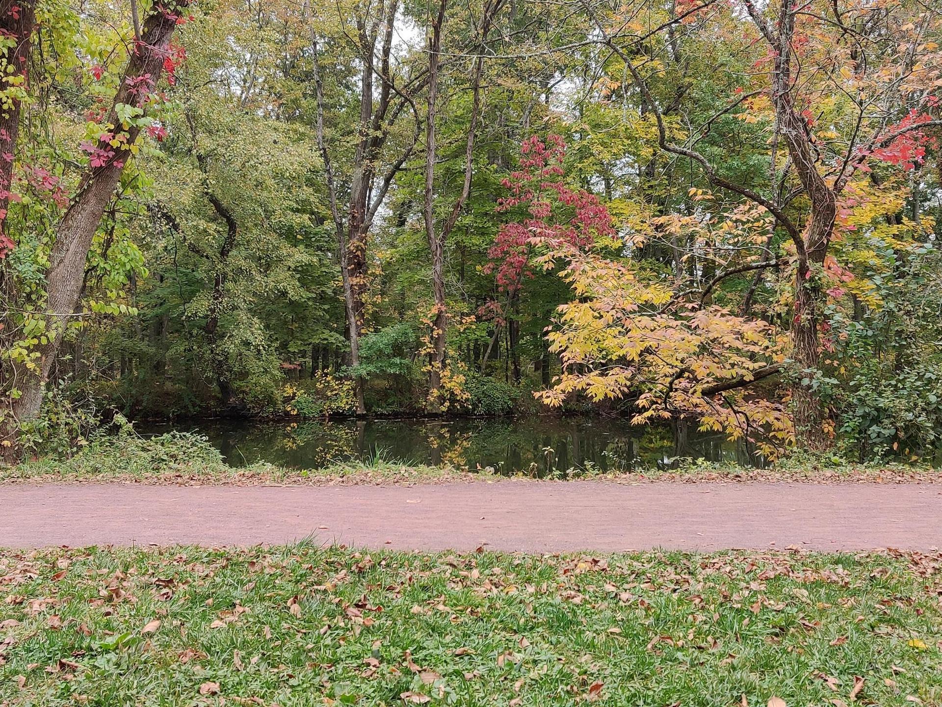 Wide path beside dark water, surrounded by vibrant autumn trees.