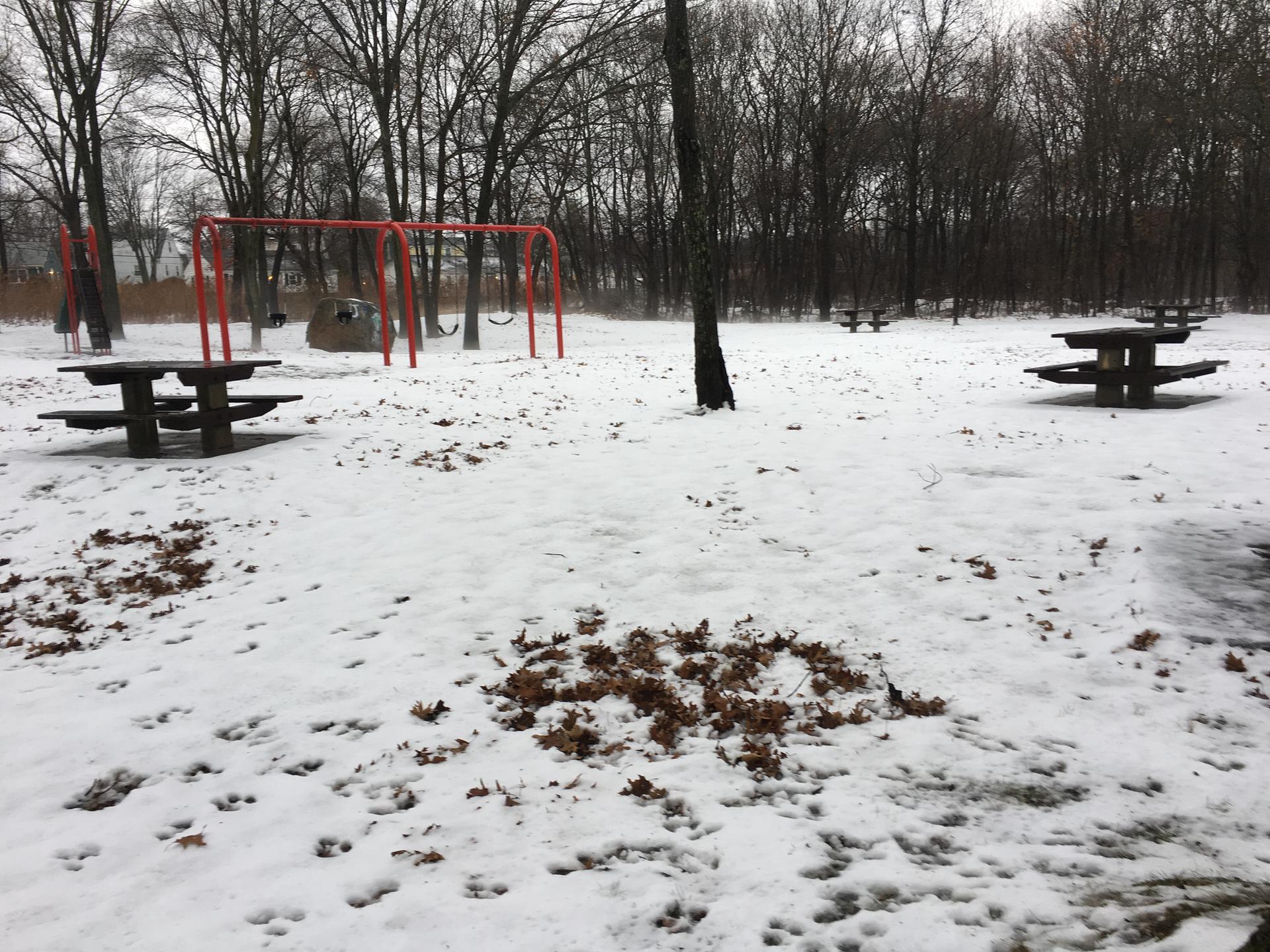 A snowy park with picnic tables and a red swing set under a gray sky.