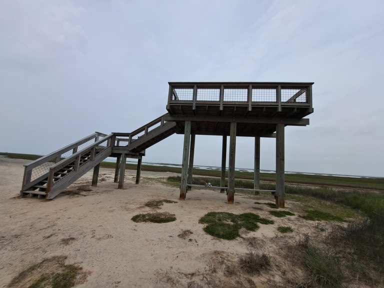 Oak Mott, Eskimo Curlew & Clapper Rail loop — Galveston Island State ...