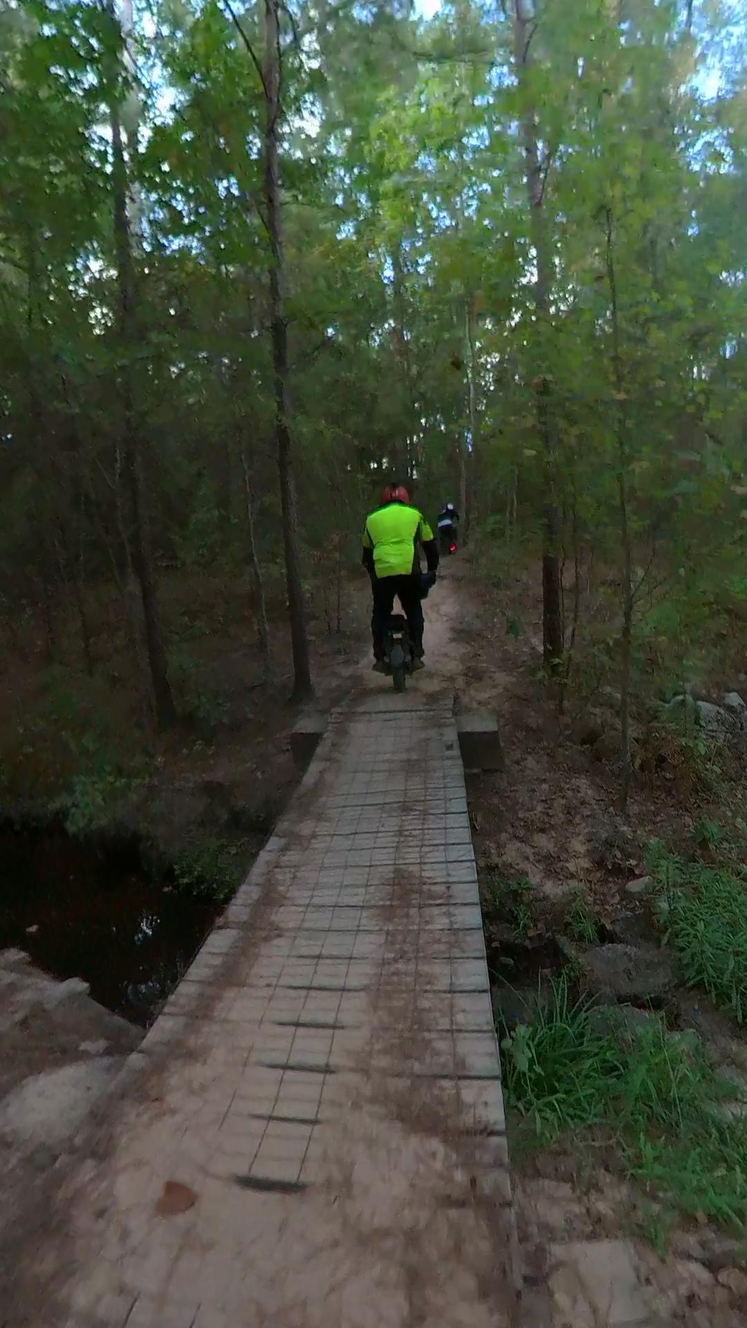Person on electric unicycle crossing a wooden bridge in a green forest.