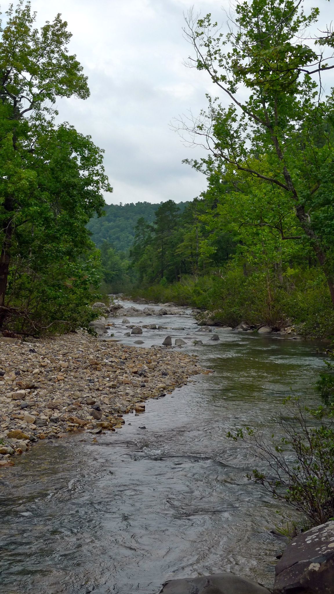 Rocky river flowing through a green forest under a cloudy sky. - Heritage Trail
