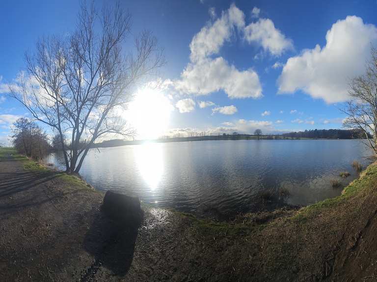 Marother Weiher MountainbikeTouren und Trails komoot