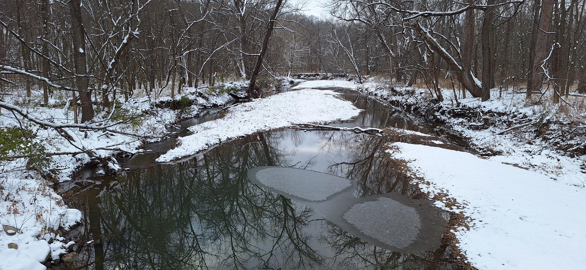 A snowy stream flows through a winter forest with bare trees and ice patches.