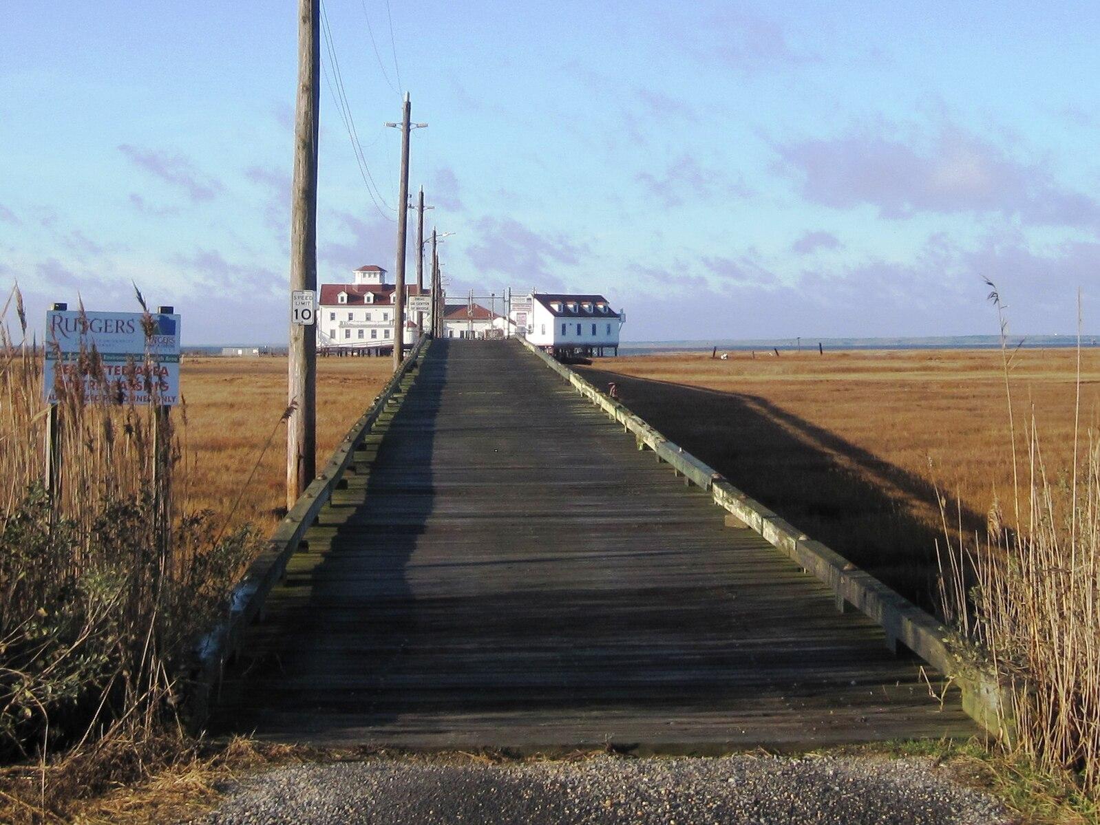 Long wooden boardwalk through marshland towards distant white buildings.