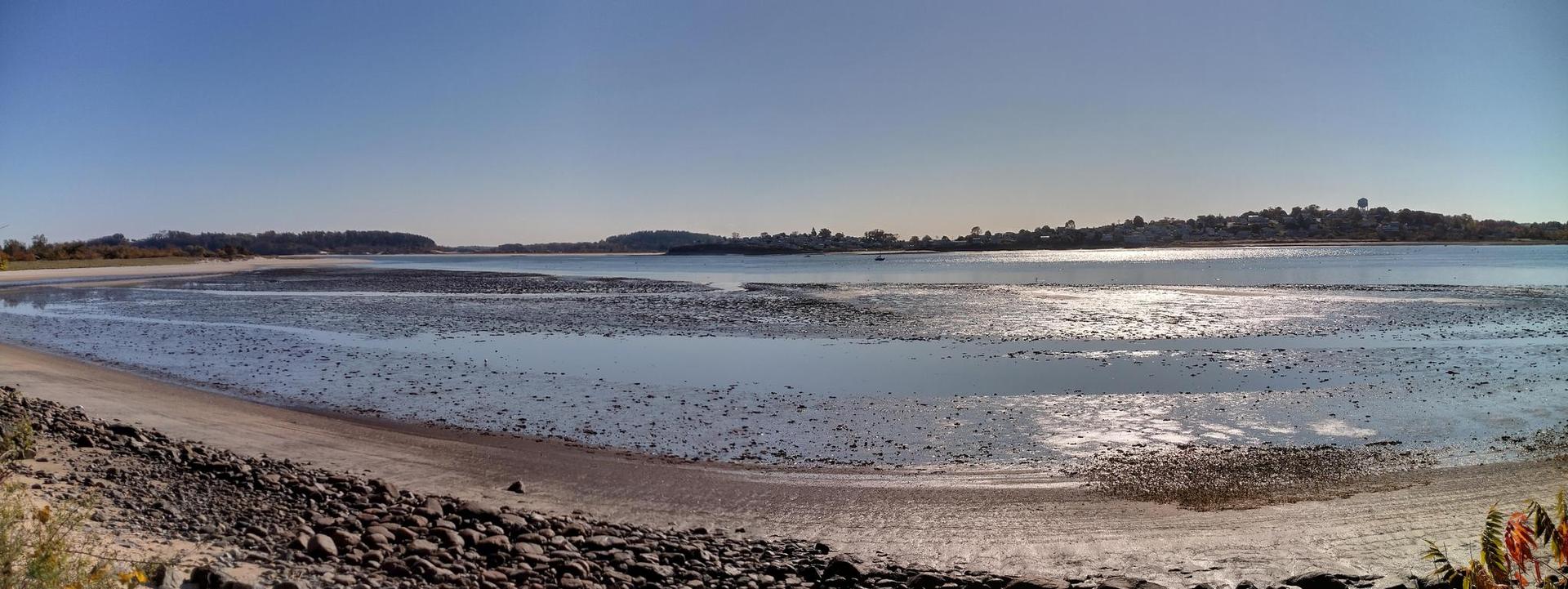 Panoramic view of a rocky tidal flat at low tide, sunlit.
