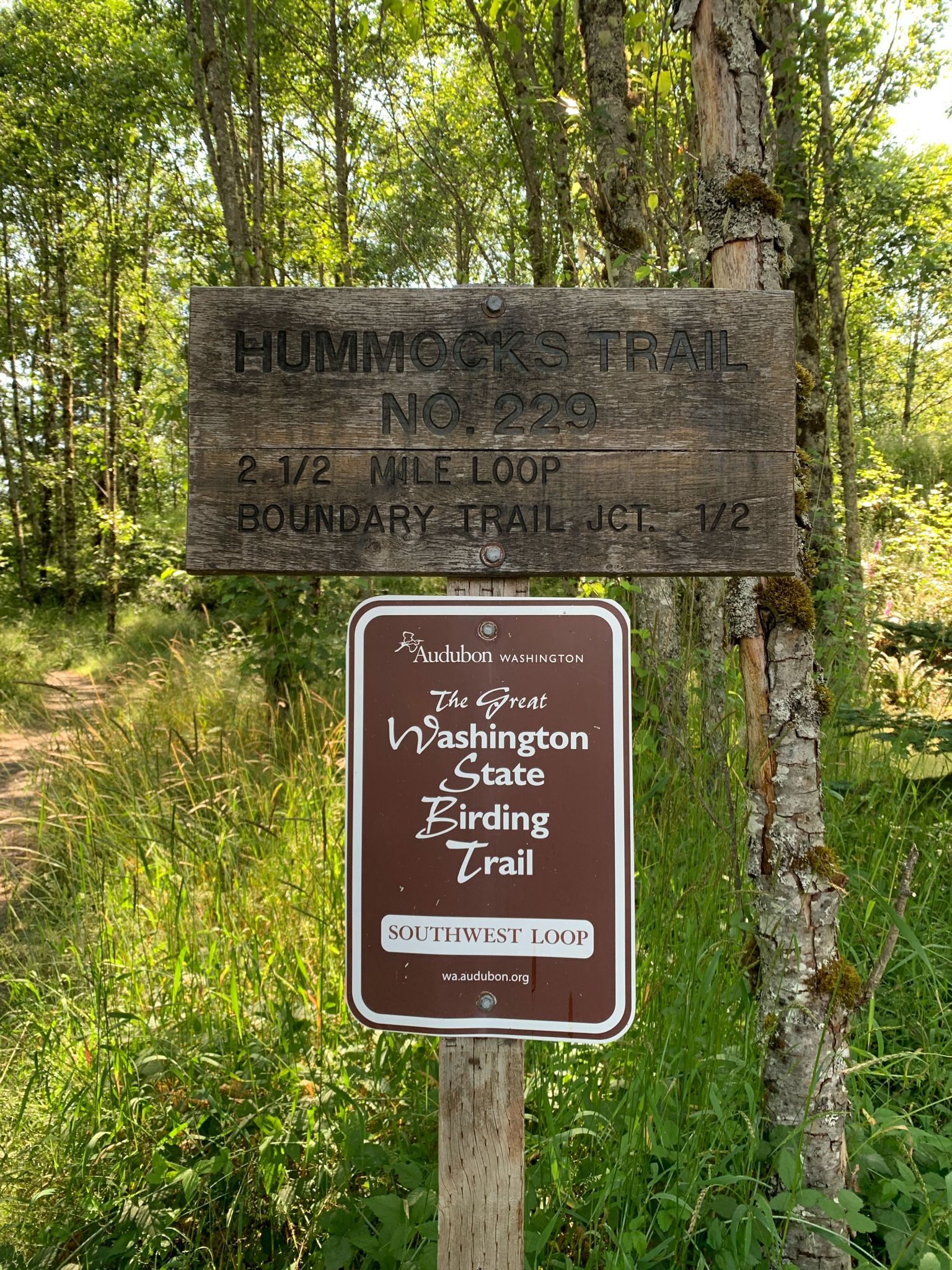 Two wooden trail signs stand amidst green foliage in bright sunlight. - Boundary West Trail