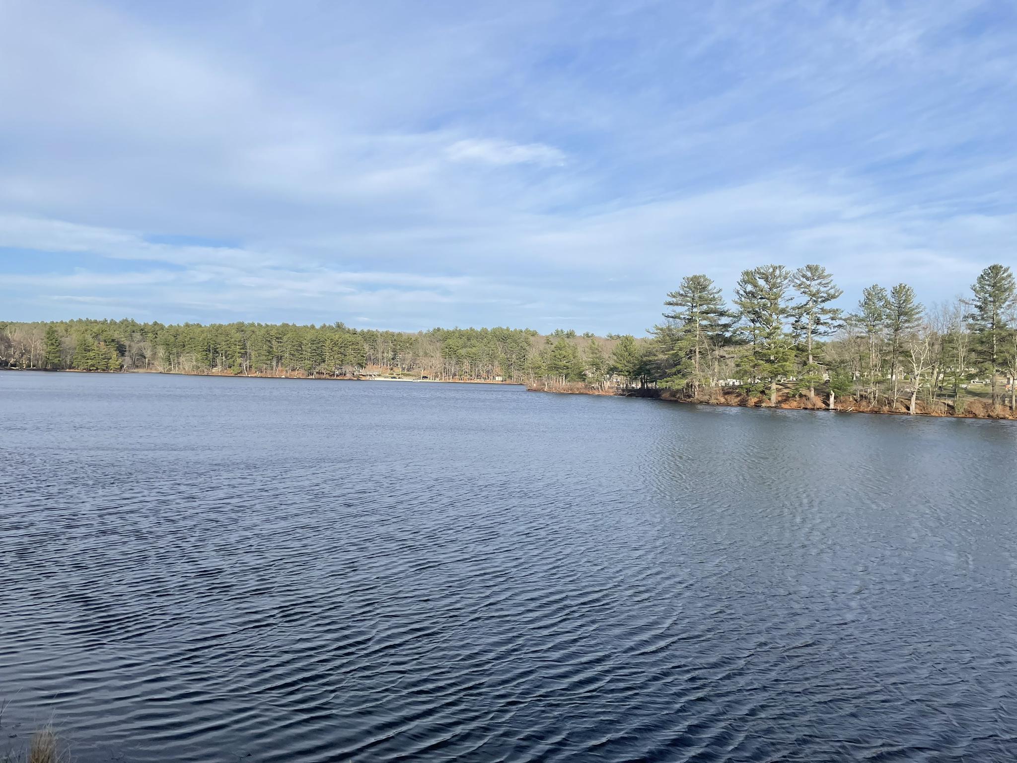 Expansive view of a rippling lake with a distant treeline under a blue sky.