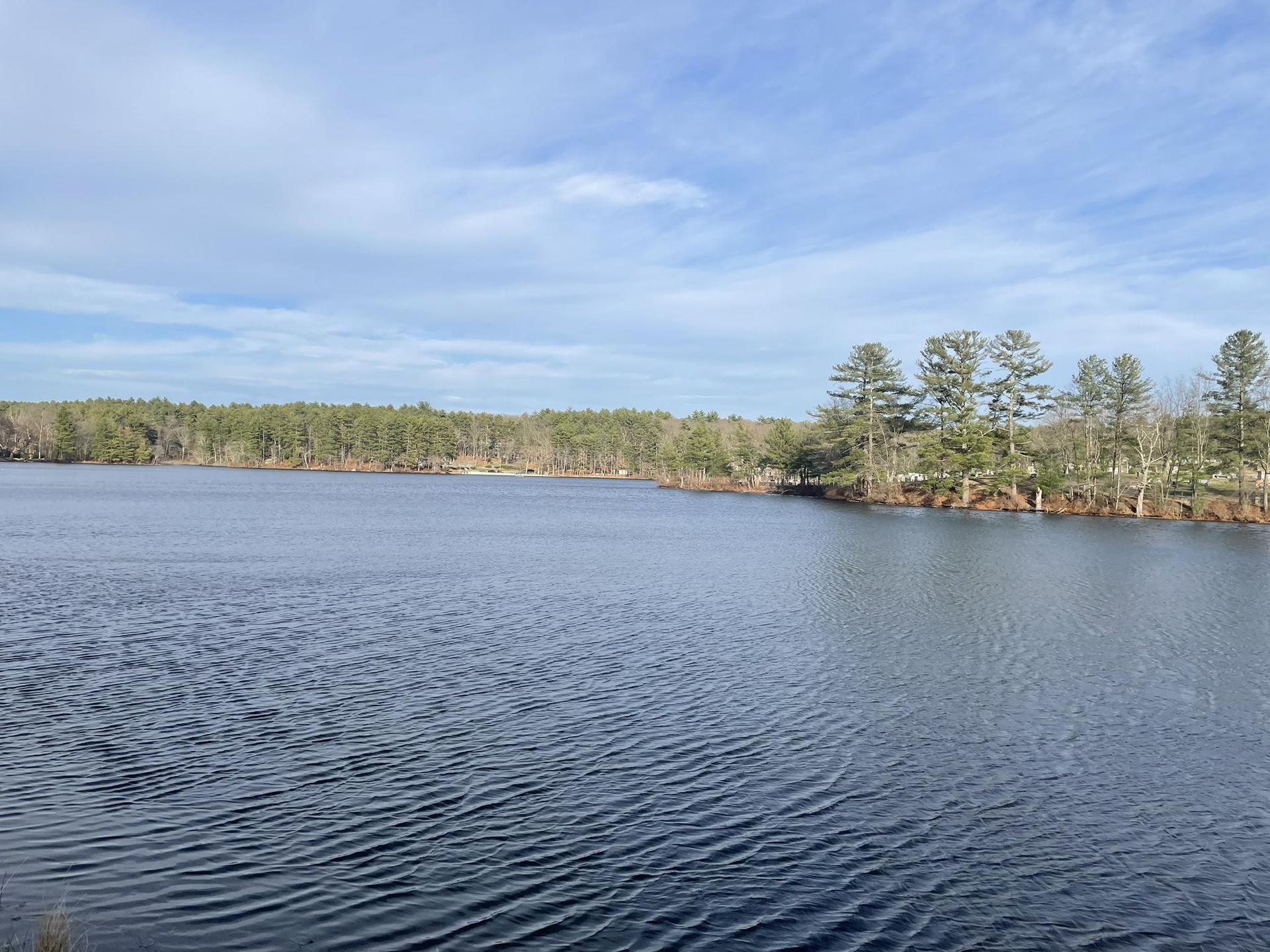 Expansive view of a rippling lake with a distant treeline under a blue sky.