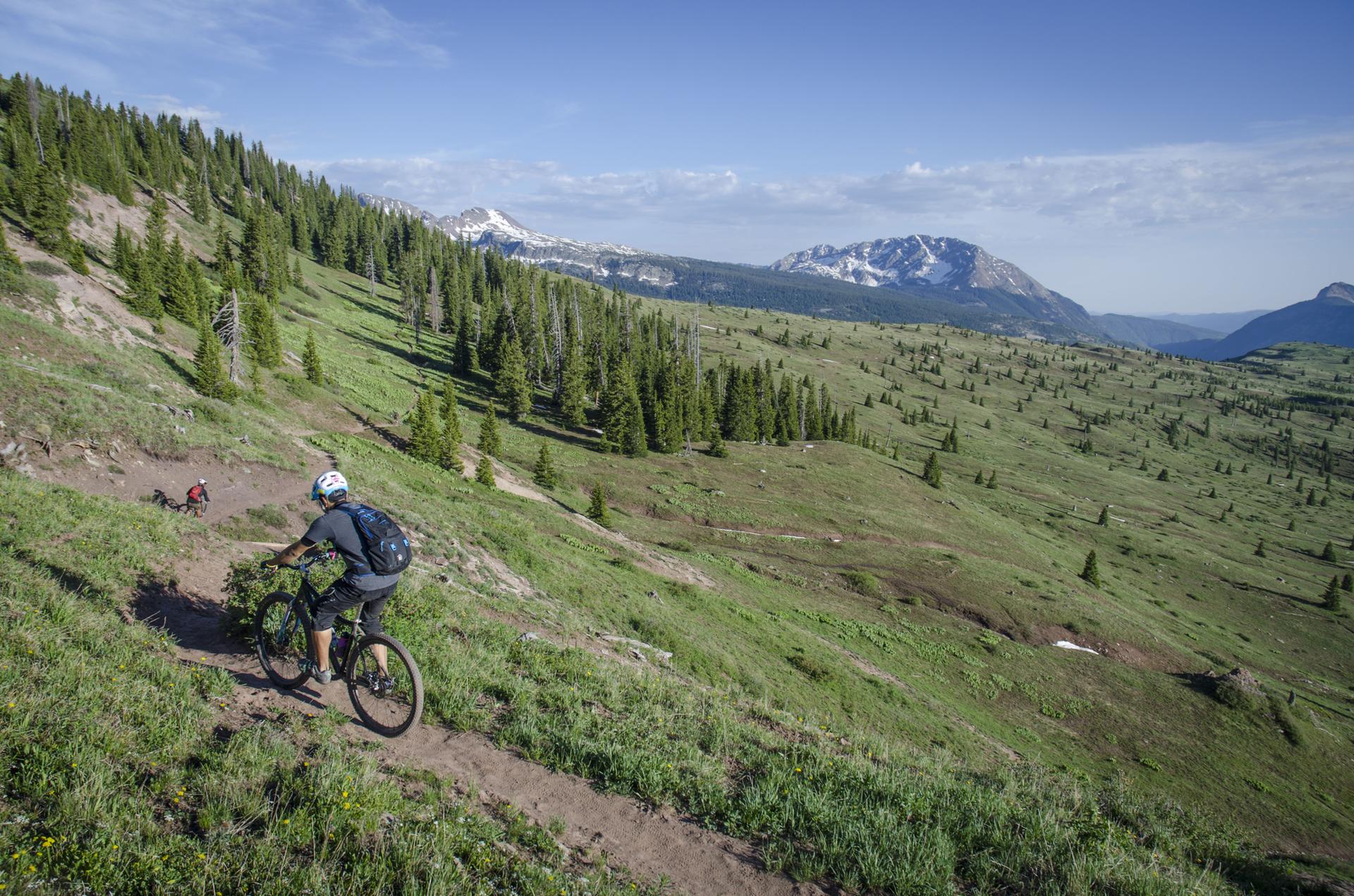 A mountain biker descends a winding dirt trail on a sunny mountain slope.