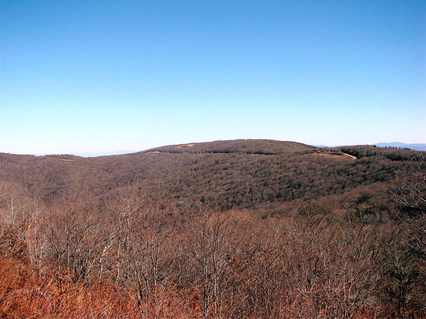 Rolling hills covered in bare trees under a clear blue sky.