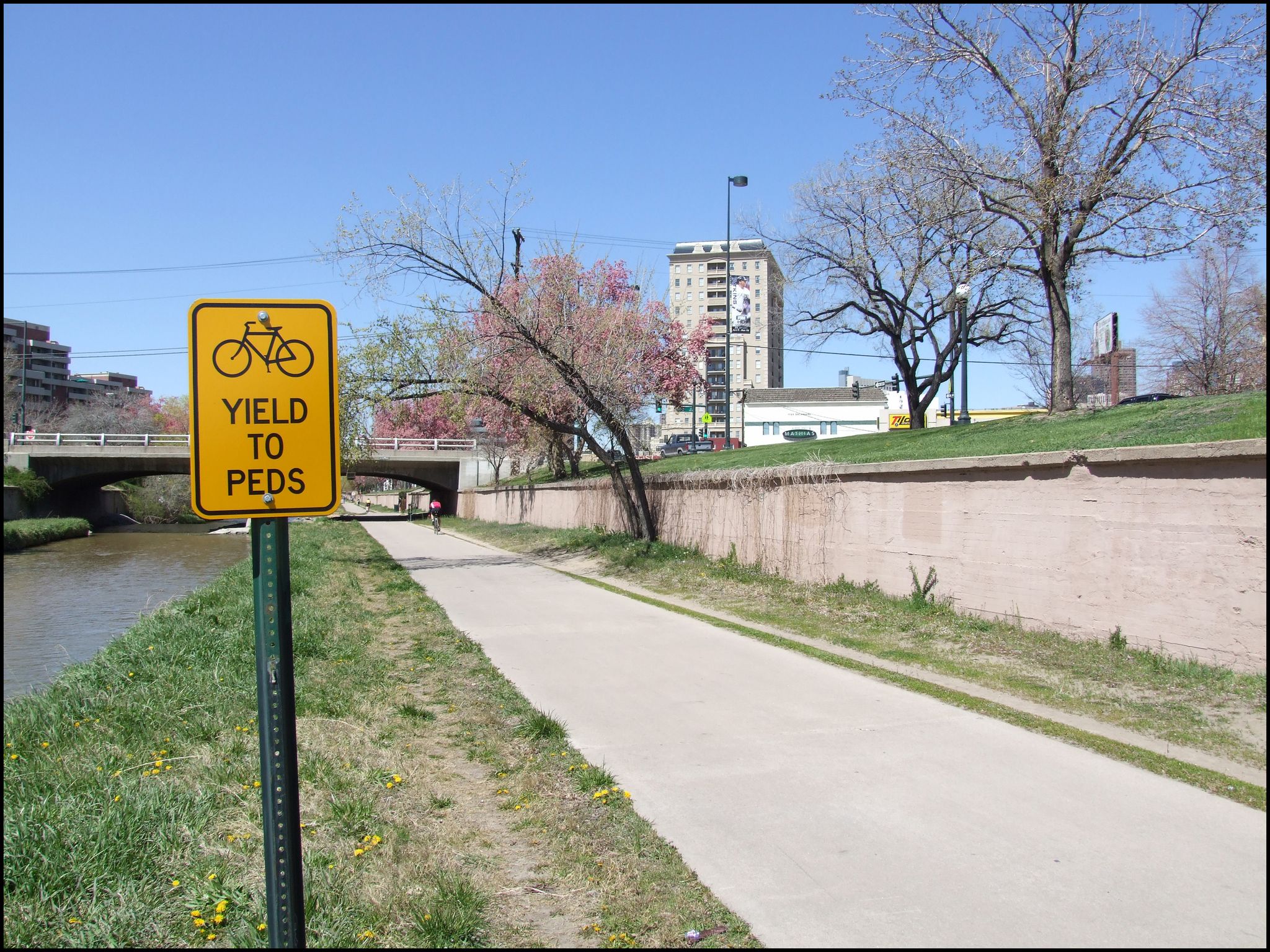 Yellow yield sign on a sunny paved path next to a canal. - Cherry Creek Trail – Sulphur Gulch Trail loop from Chaparral High School