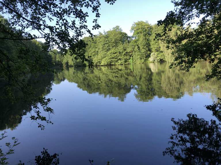 Alter Teich HH Bramfeld Radtouren und Radwege komoot