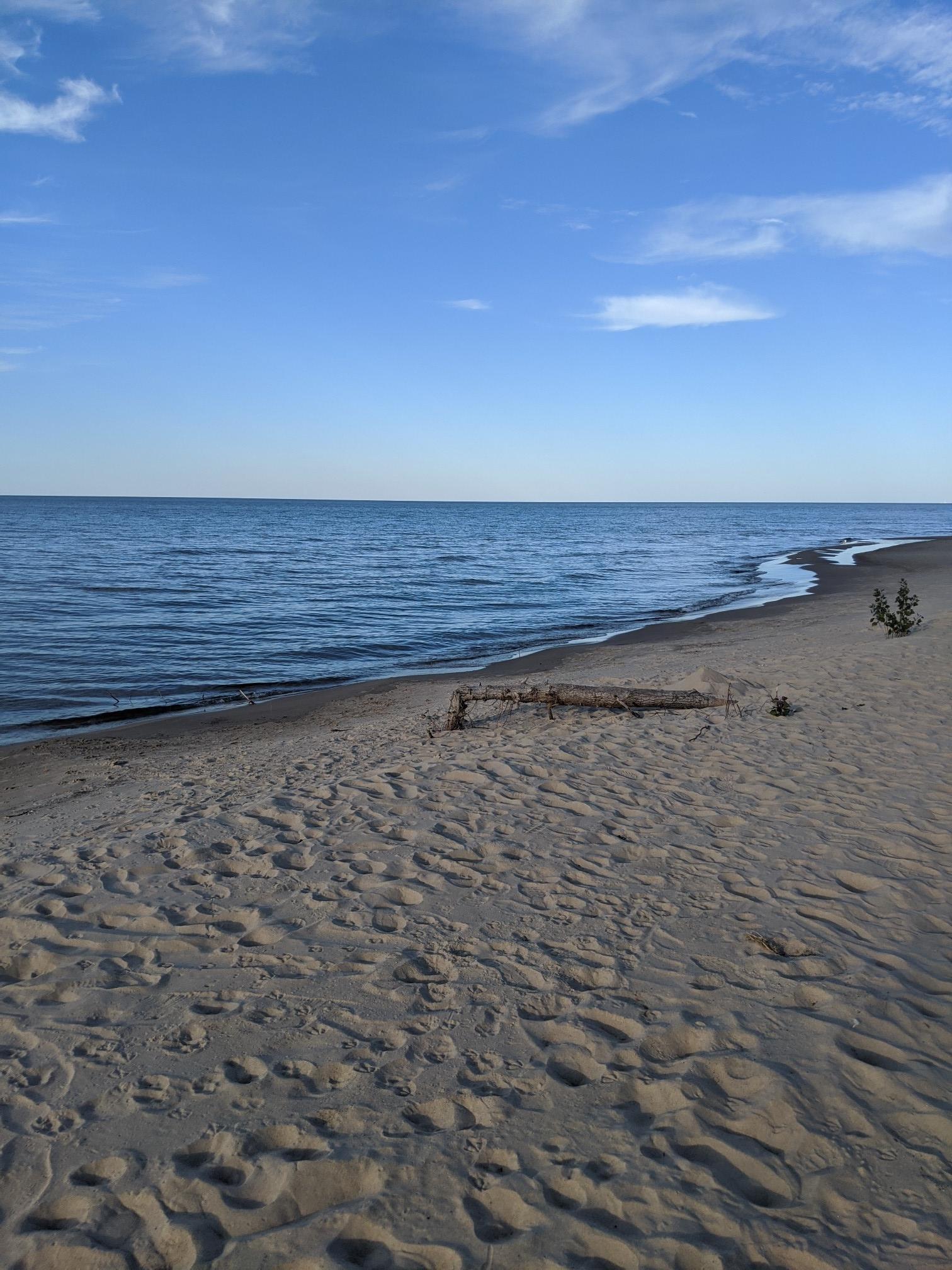 A sandy beach next to calm blue water under a clear sky with light clouds.