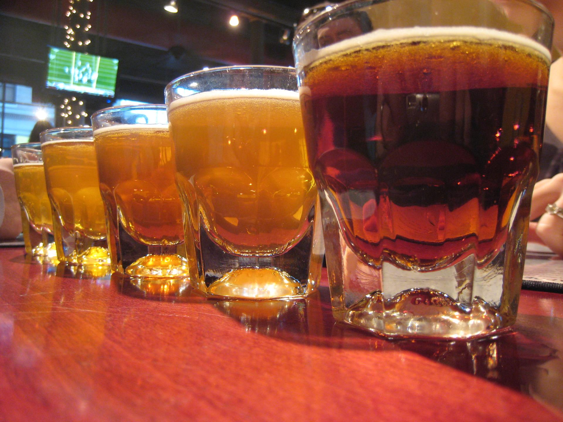 A row of beer glasses, light and dark, on a bar counter.