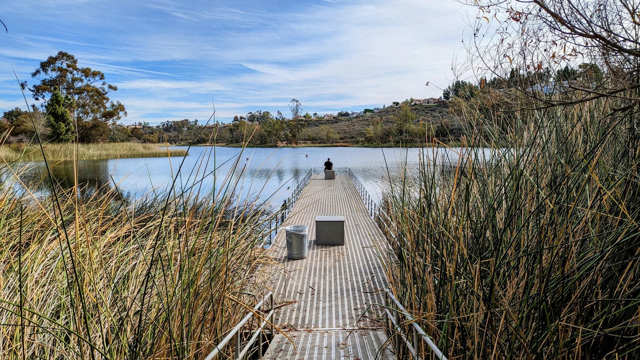 Person sits on a dock extending into a calm lake surrounded by reeds. - Lake Miramar Loop Trail