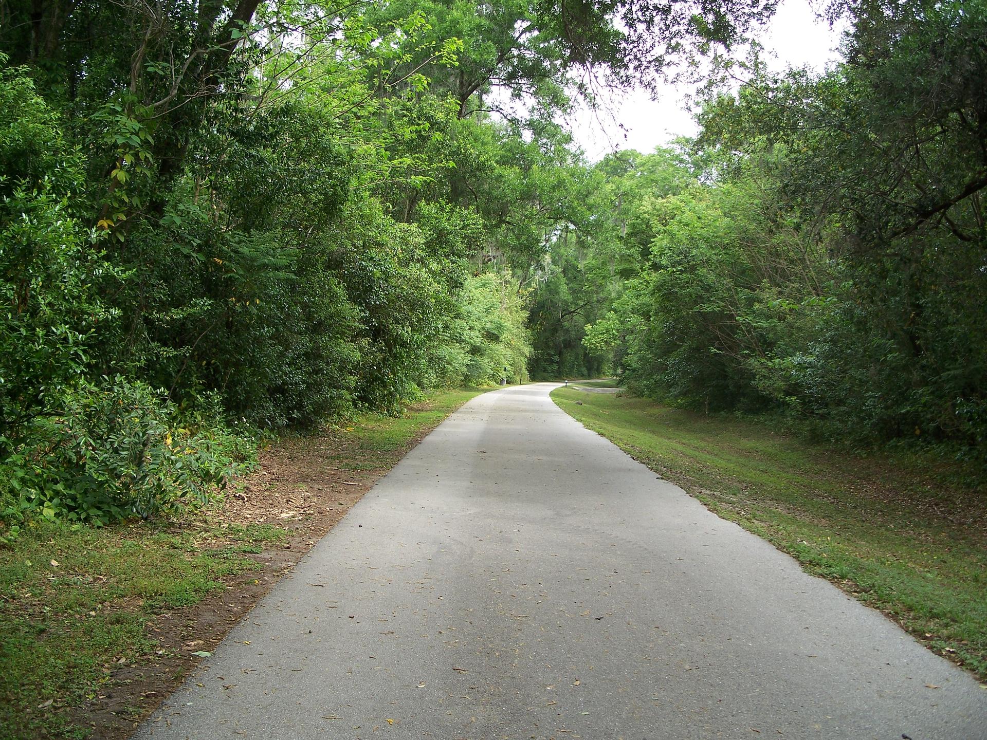 A paved path winding through a dense green forest on an overcast day.