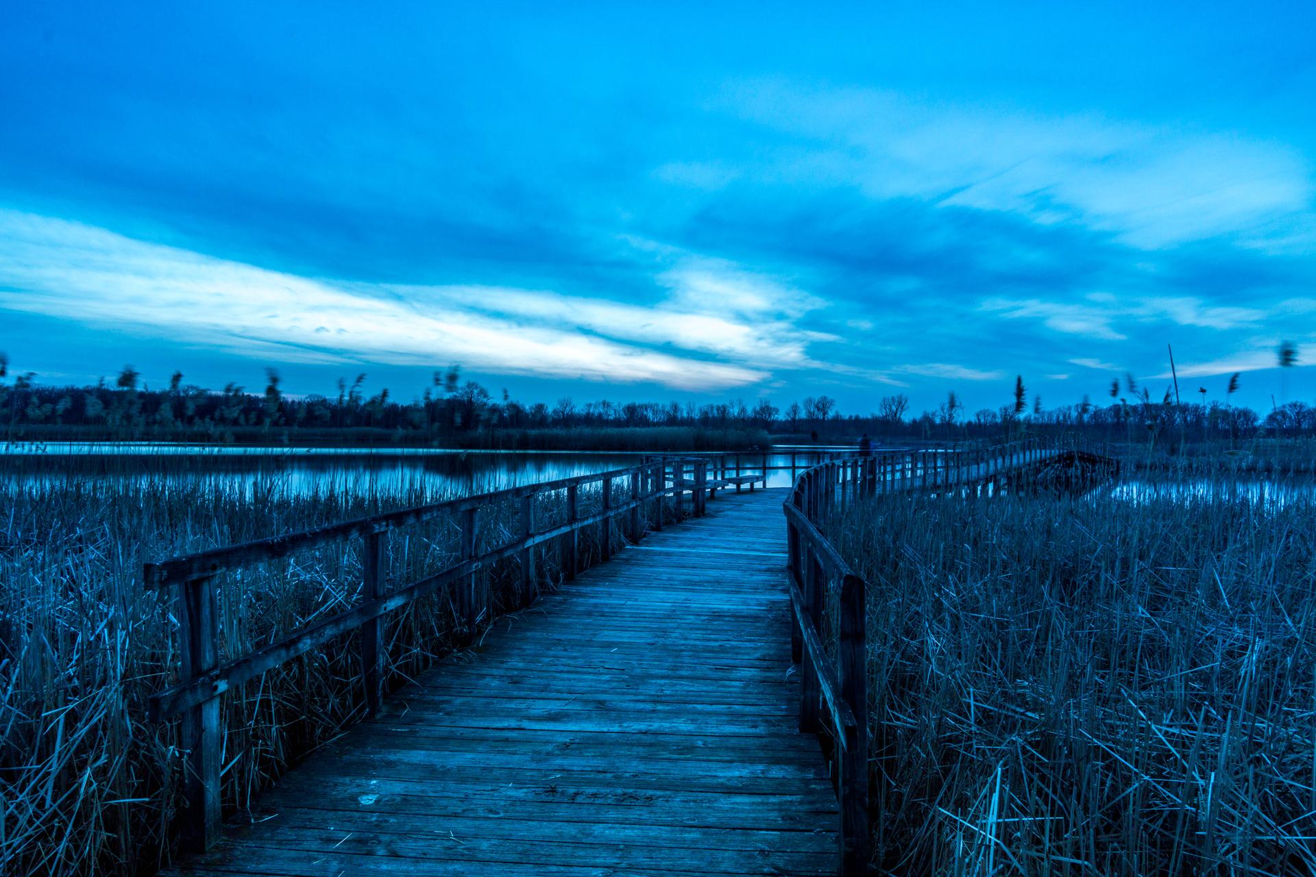 Wooden boardwalk winding through a marsh at twilight under a blue sky.