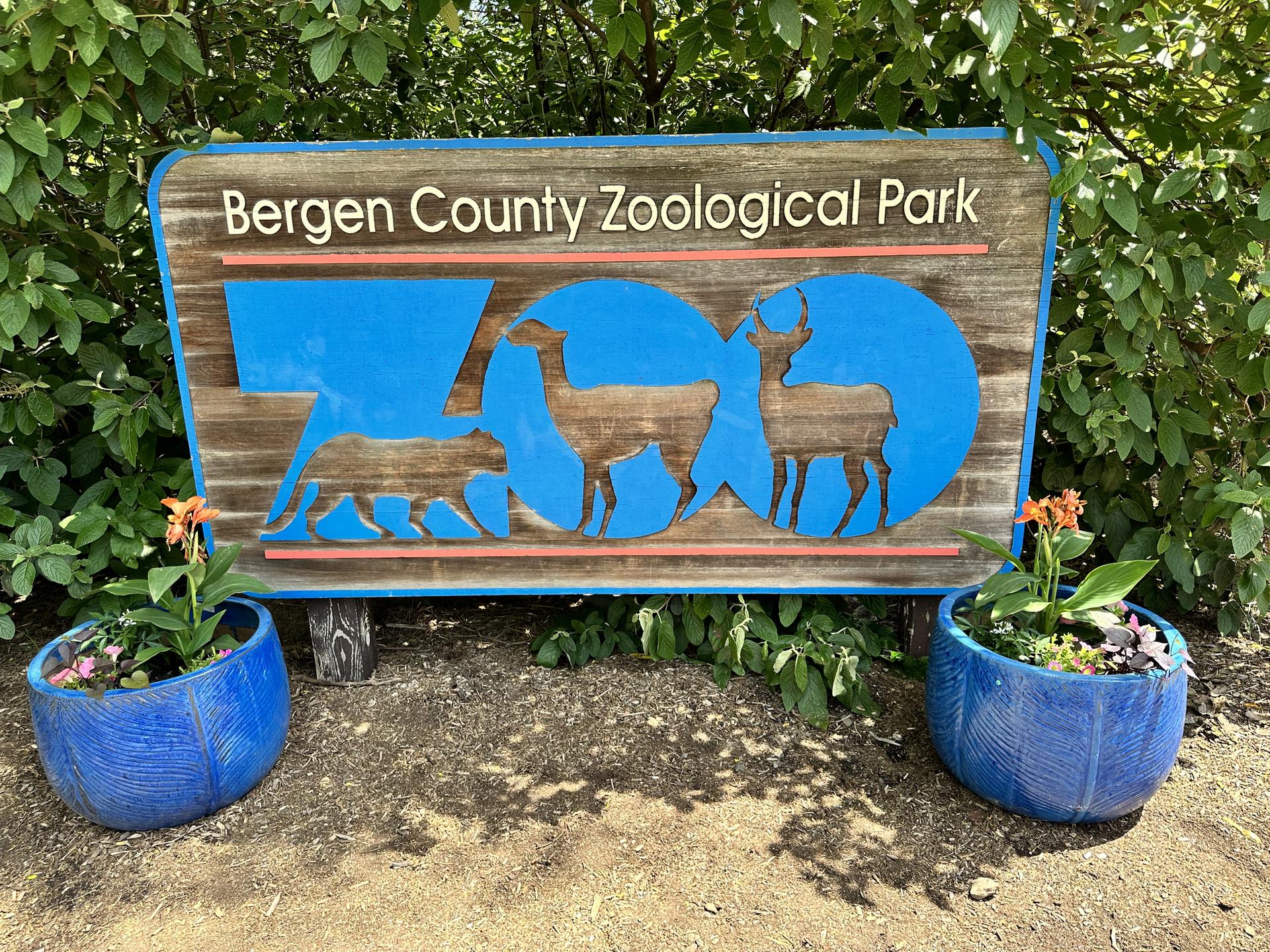 A wooden sign with blue animal shapes and text, flanked by blue planters.