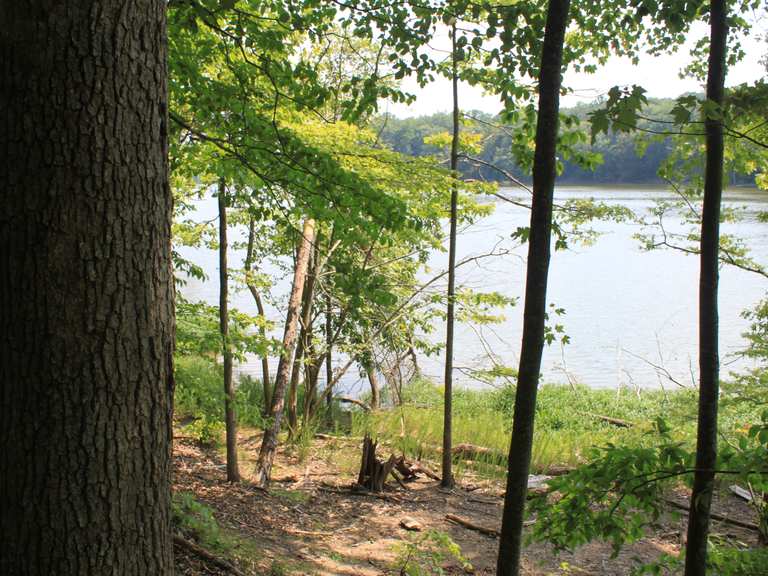 Bull Run Occoquan Trail — Bull Run Regional Park | run | Komoot