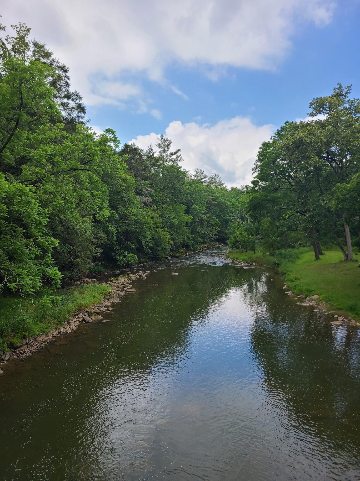 A serene river reflects the sky, surrounded by dense green trees.