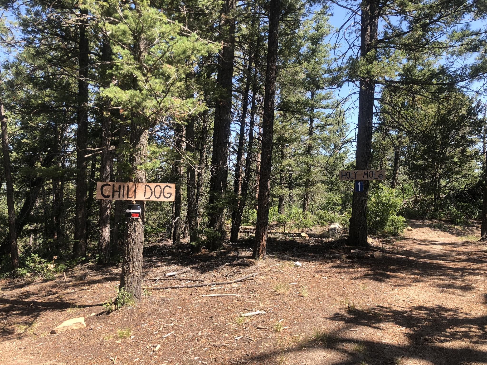 Sunny forest path with two trail signs on tall trees. - Cairn Me Up and Jagged Axe Loop