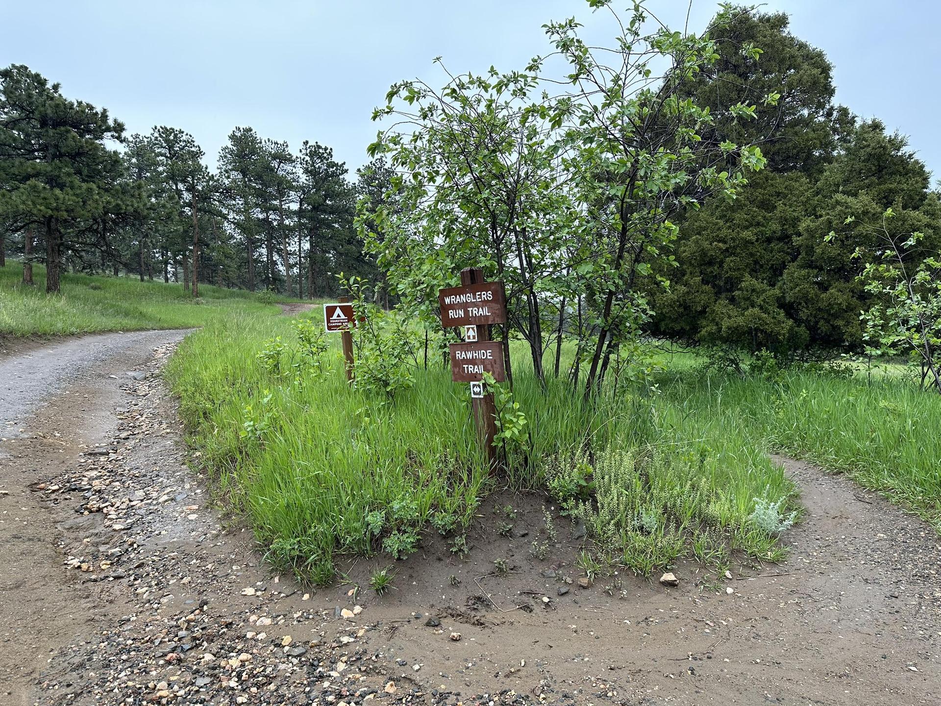 A dirt trail forks, with wooden signs amidst green grass under cloudy skies.