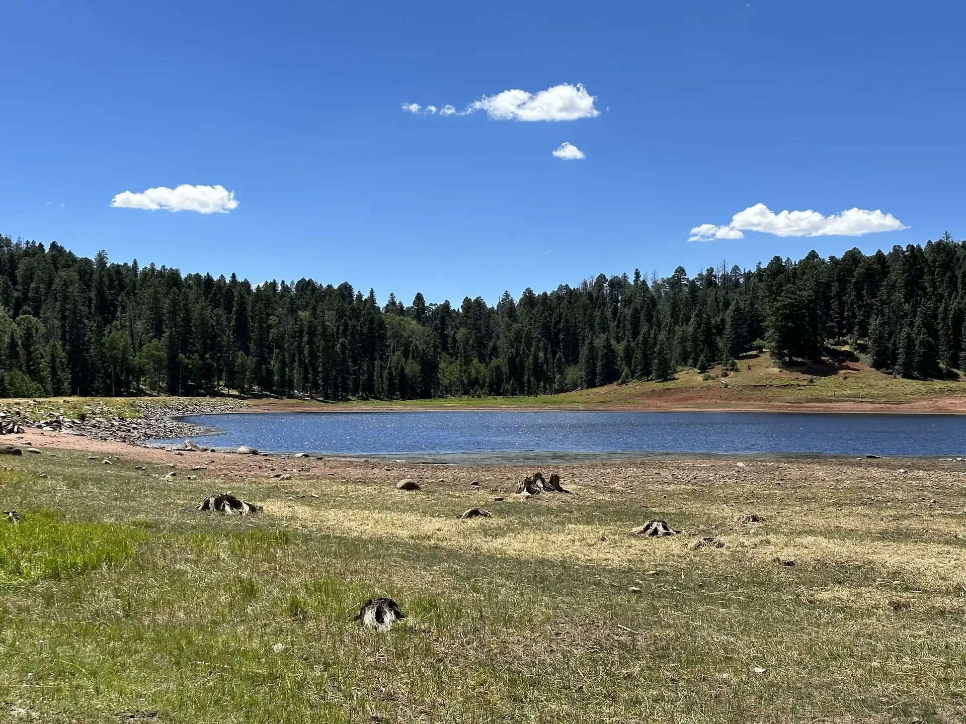 Bright sun illuminates a blue lake, green forest, and grassy, rocky shore.