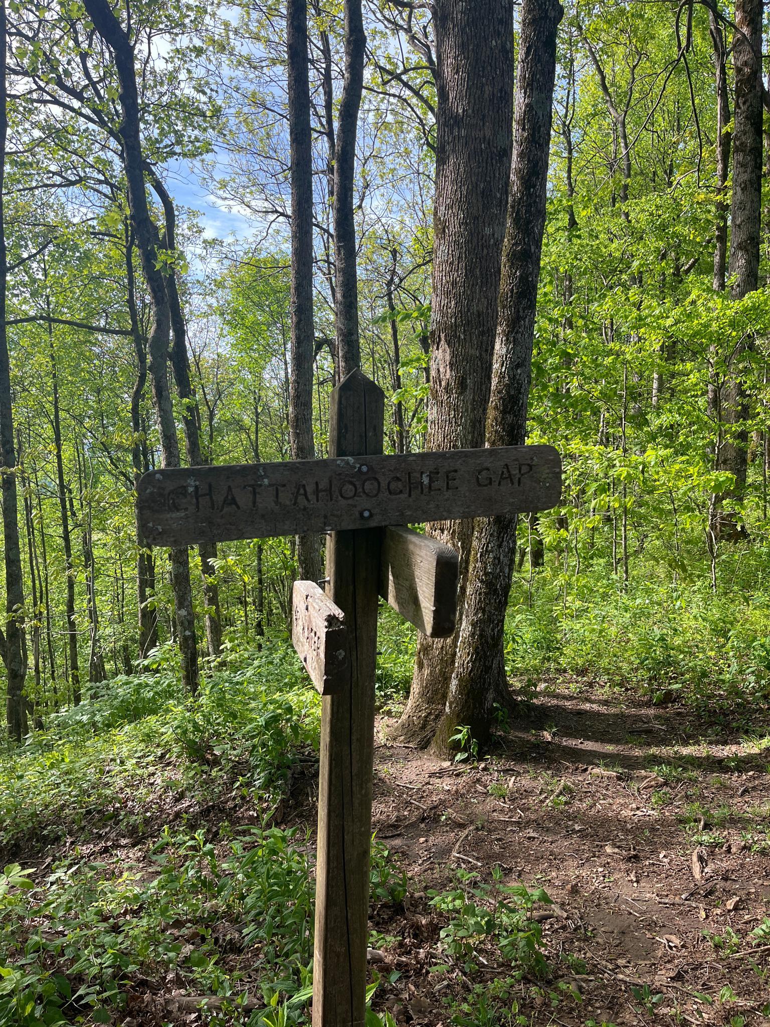 A wooden trail sign with two arrows points through a sunlit, green forest.