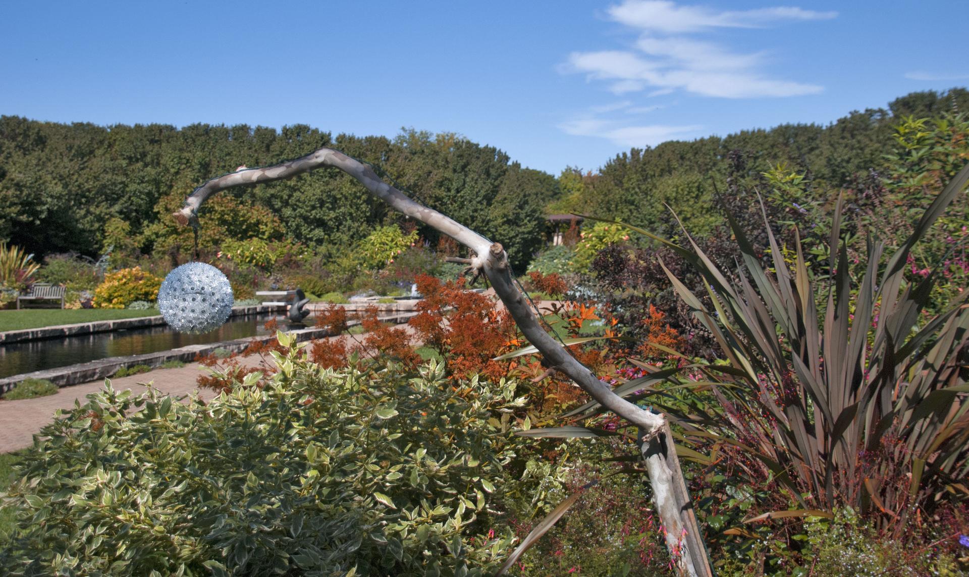Decorative sphere hangs from a branch in a sunny, lush garden.