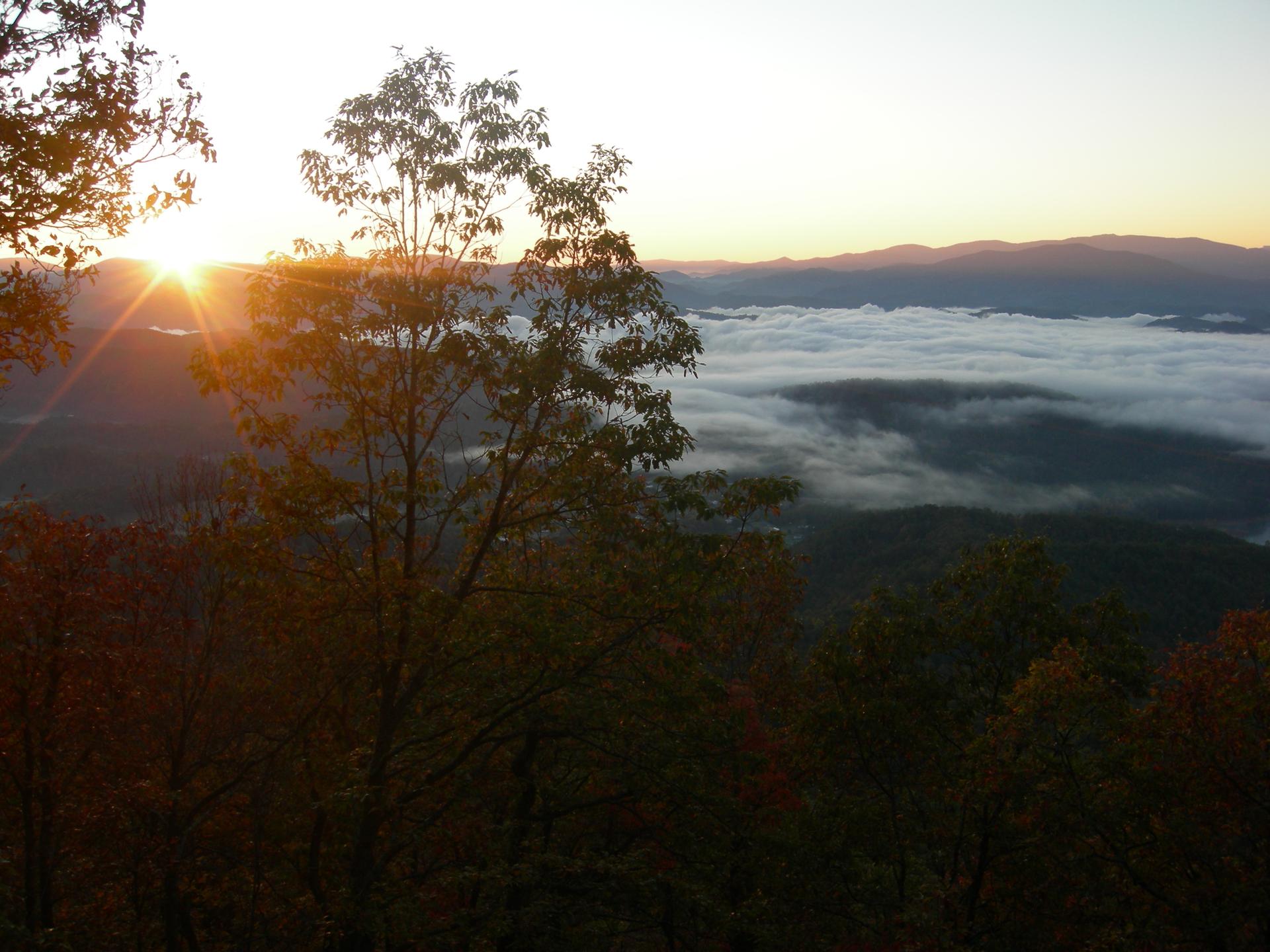 Golden sunrise illuminates a misty mountain valley with trees in the foreground.