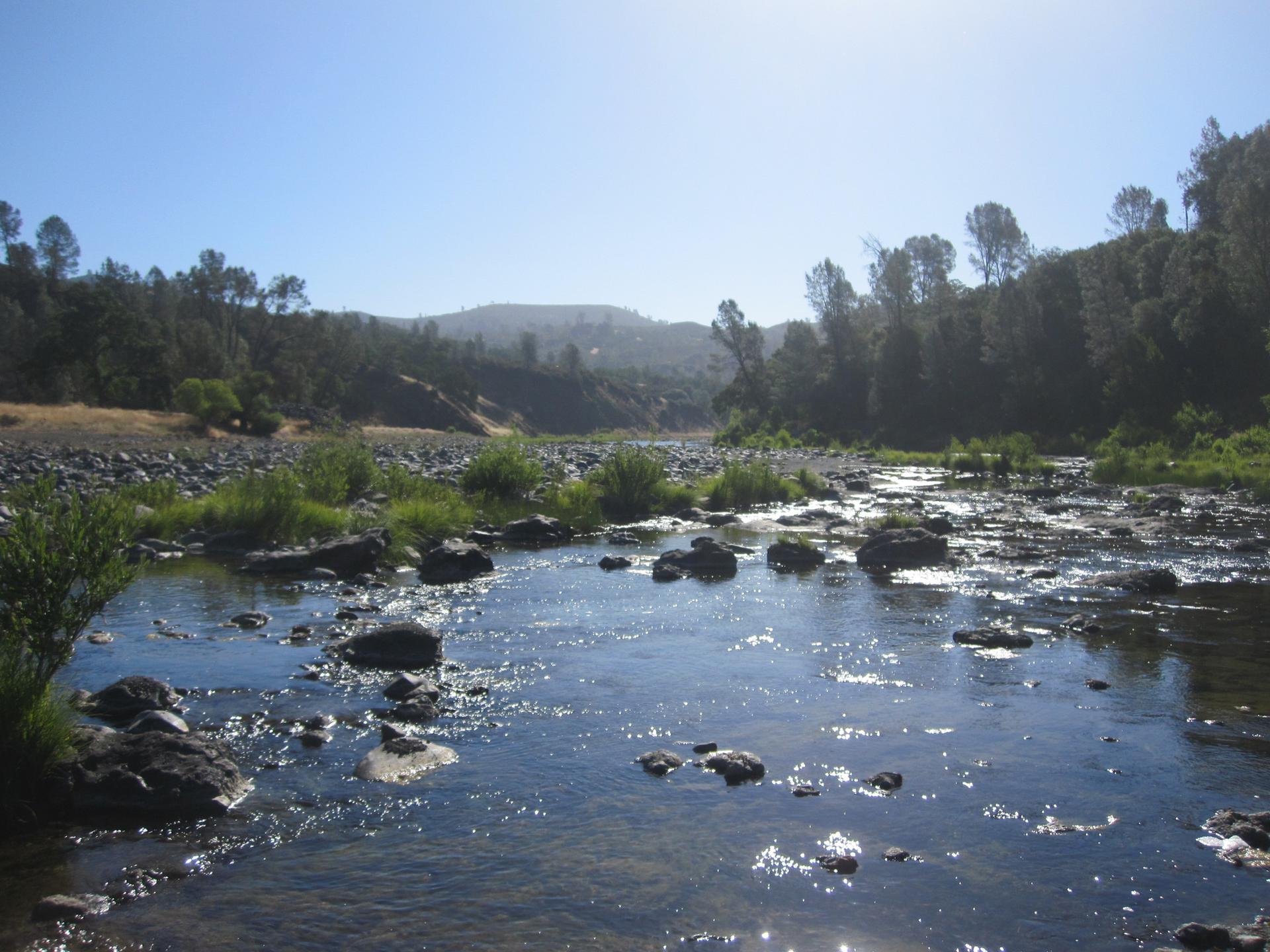 Sunny, wide rocky river flowing through forested hills.