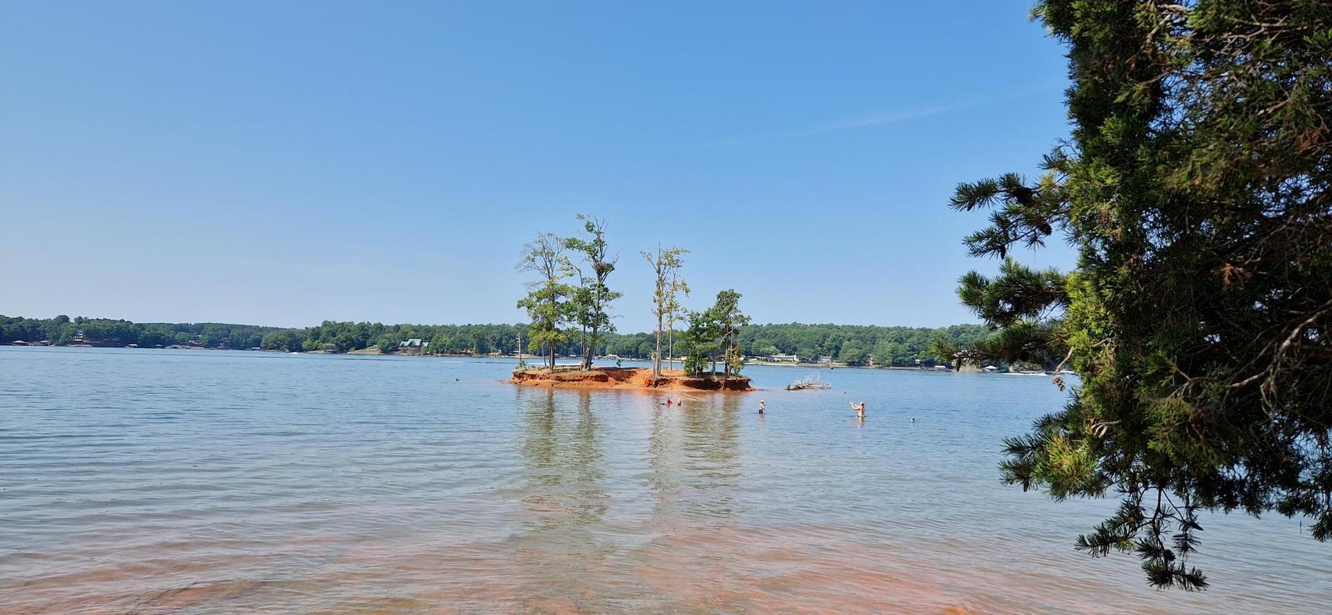 Small tree-covered island in blue water with people swimming on a sunny day.
