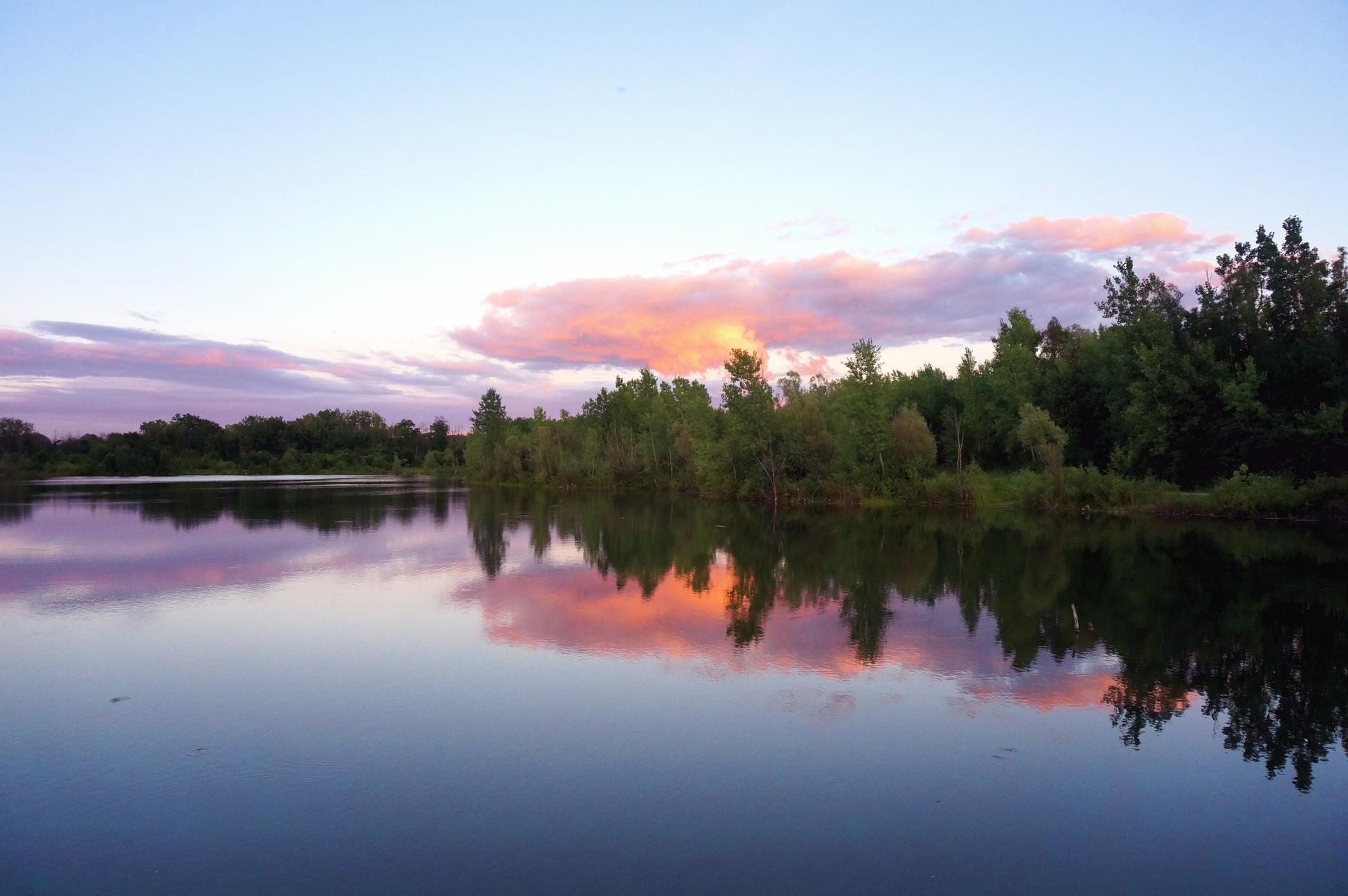 Calm lake reflecting colorful sunset clouds and green trees at dusk.