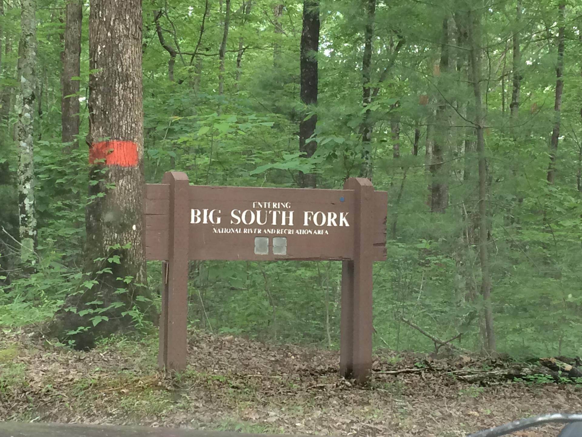 Brown wooden sign in a dense green forest with a tree marked orange.