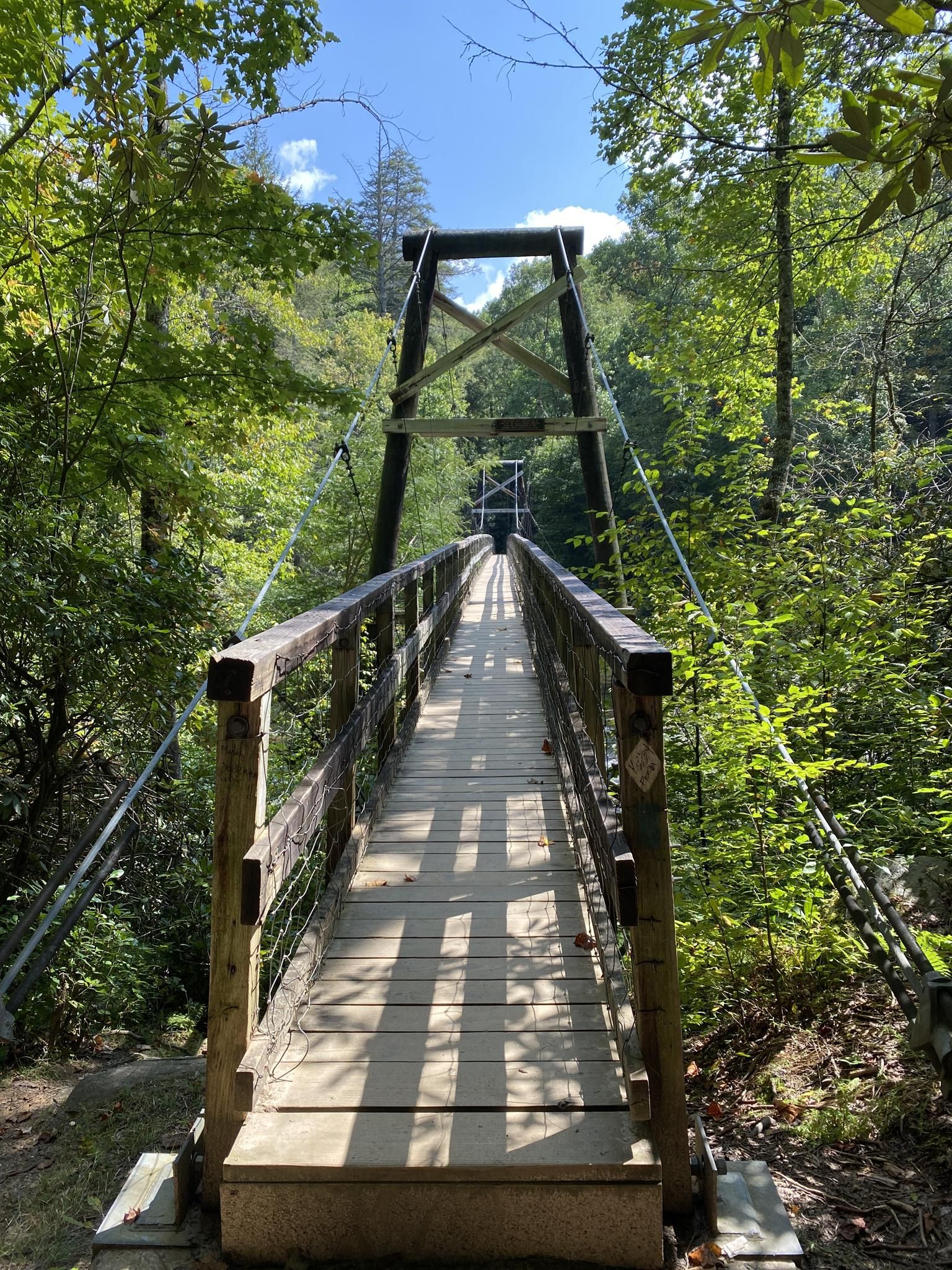 An empty wooden suspension bridge stretches into a sunlit green forest. - Tooni Gap Road gravel