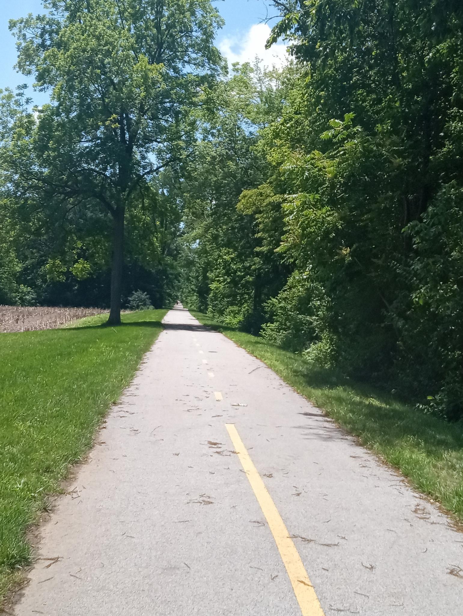 Paved path with a yellow line, surrounded by lush green trees and grass.
