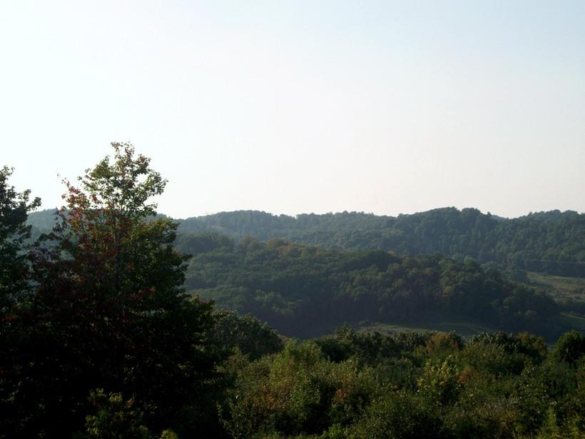 Dense green forested hills under a bright, clear sky with foreground trees.