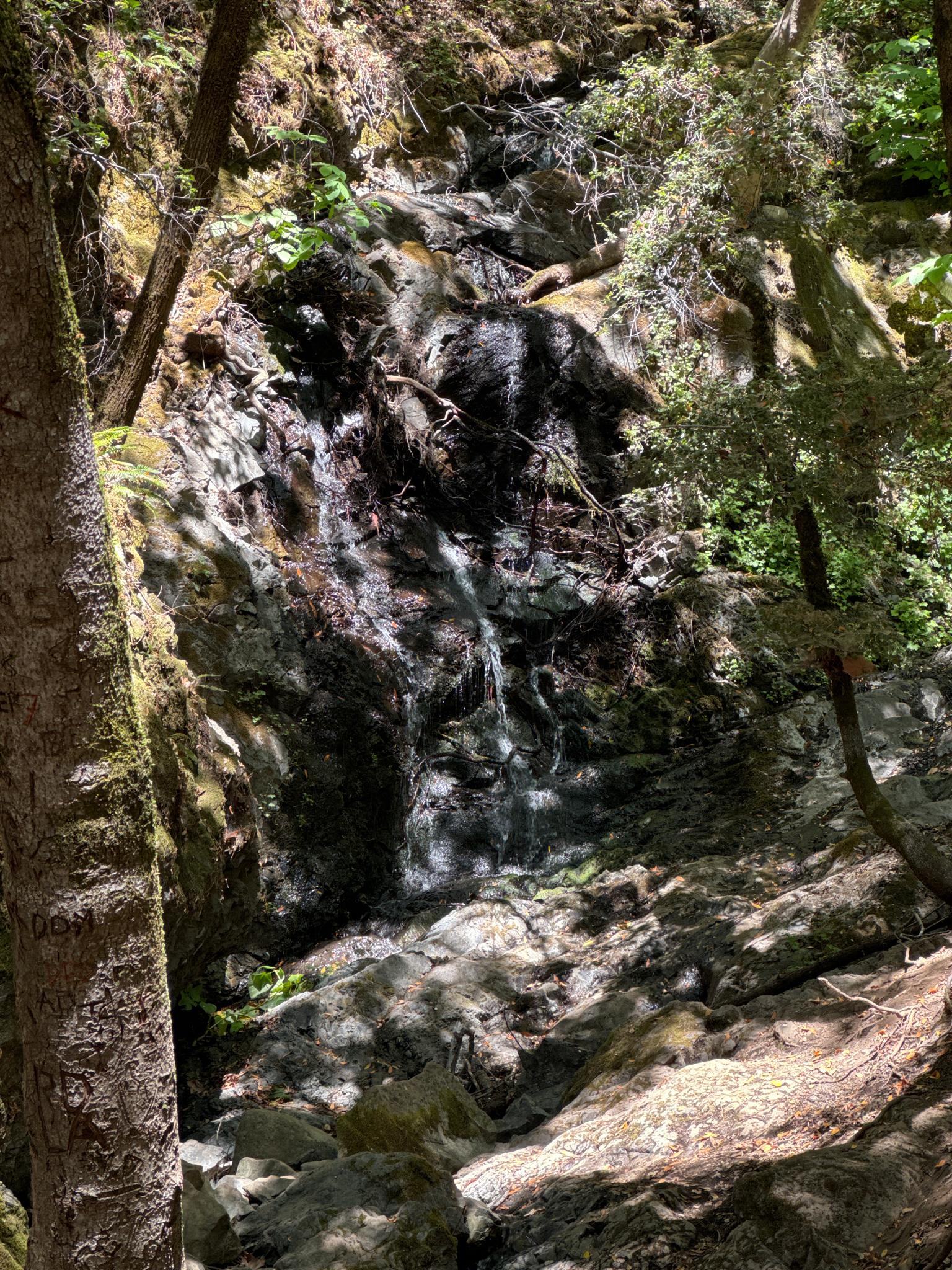 A small waterfall cascades down a mossy, rocky hillside in dappled sunlight.